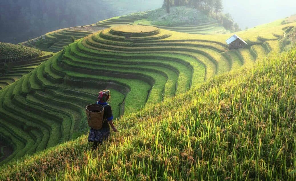 quoi faire en chine