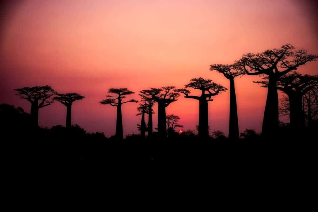 visiter madagascar