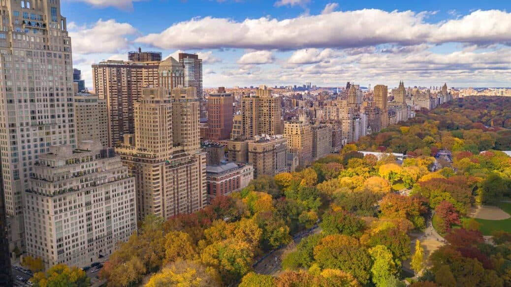 automne new york