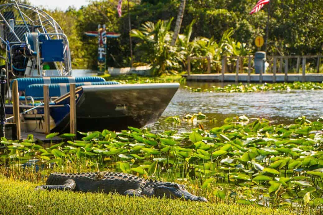 parc national des everglades