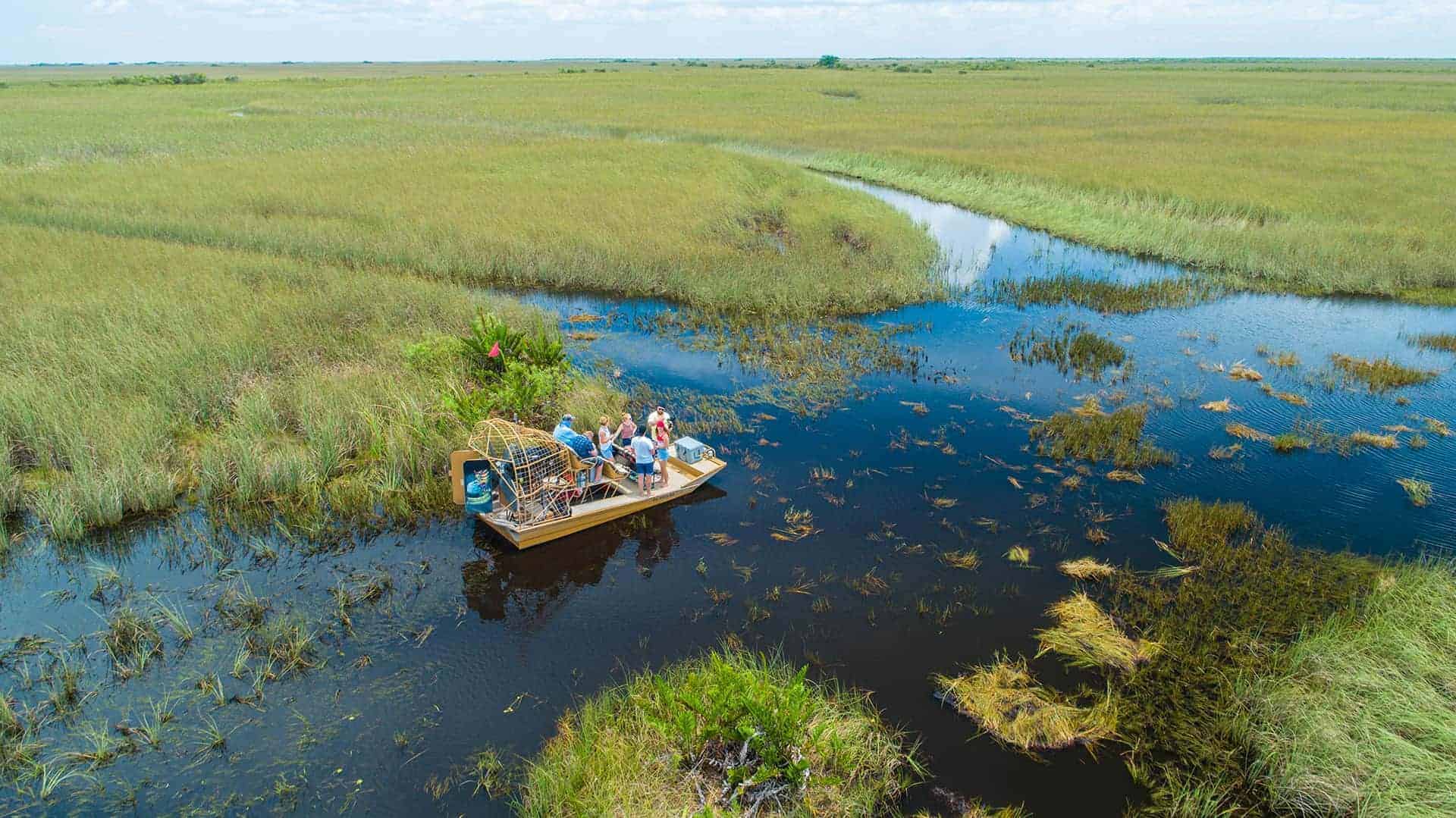 les everglades