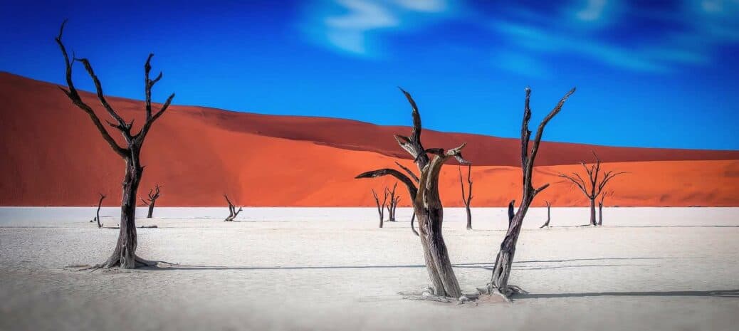 desert namibie