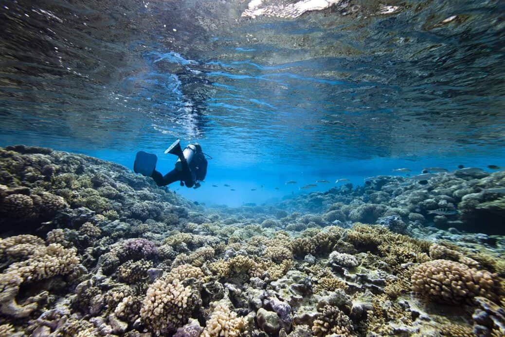 visiter guadeloupe