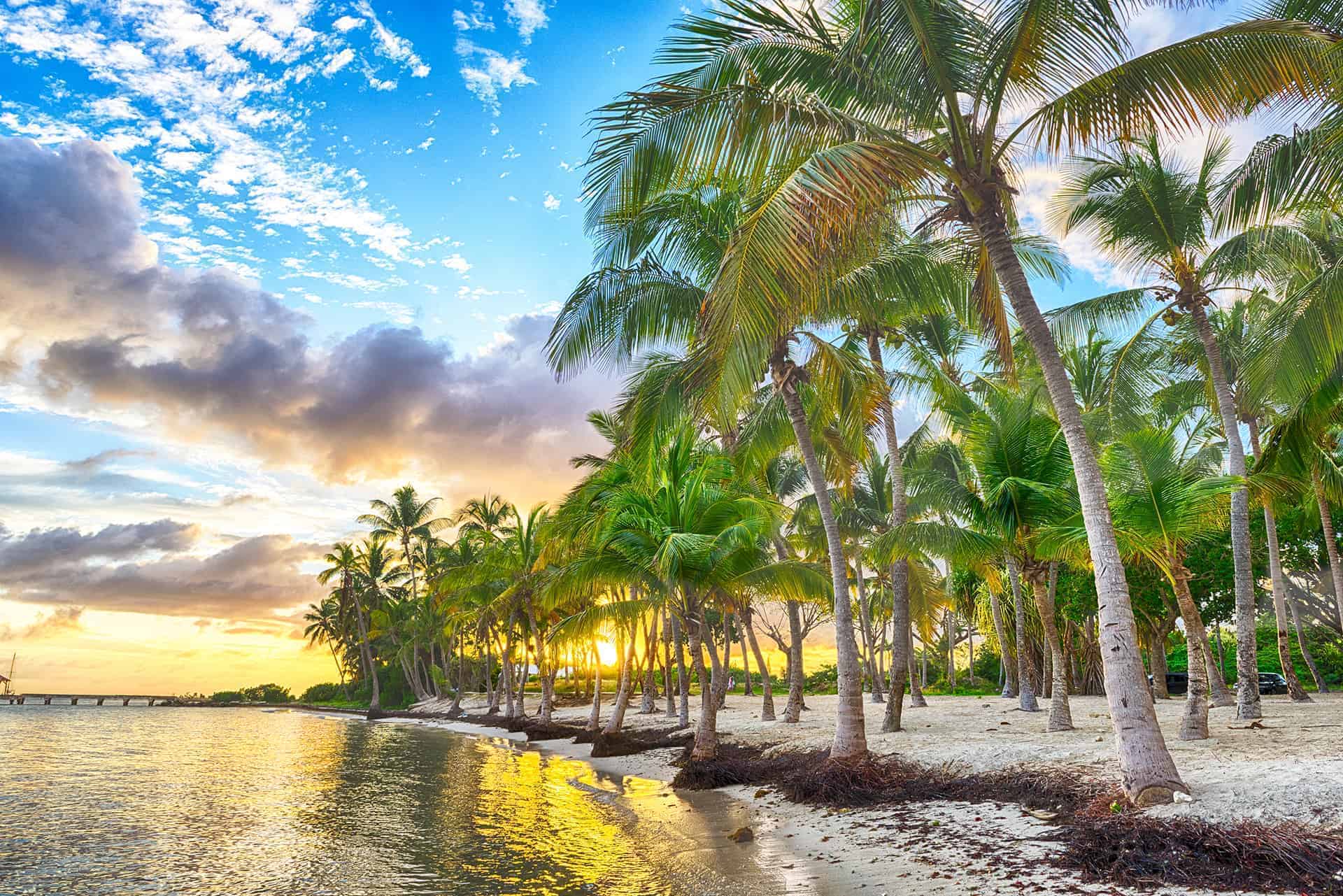 Jobrapido Guadeloupe