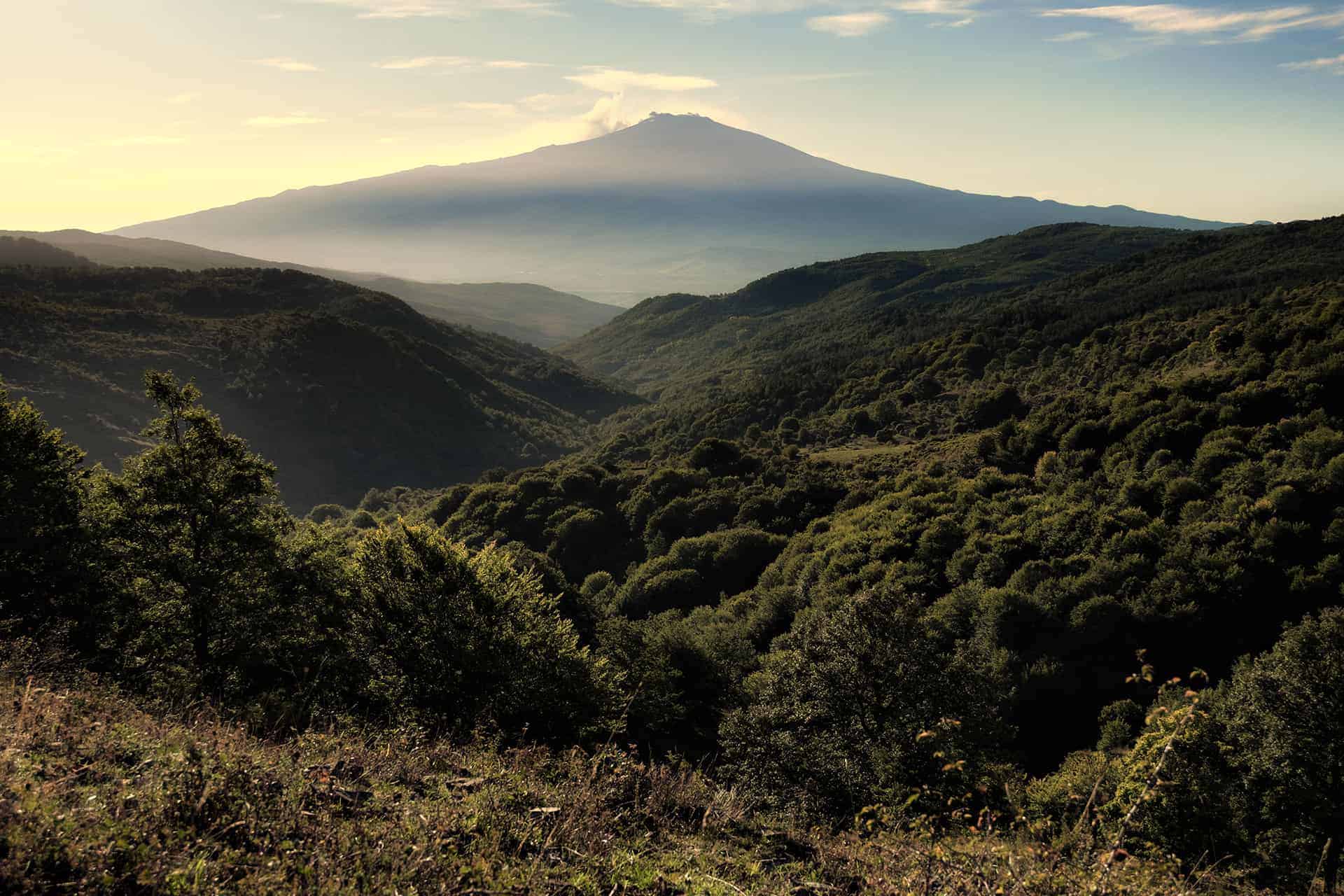 Etna - L'Etna, fontane di lava e cenere - Live Sicilia ...