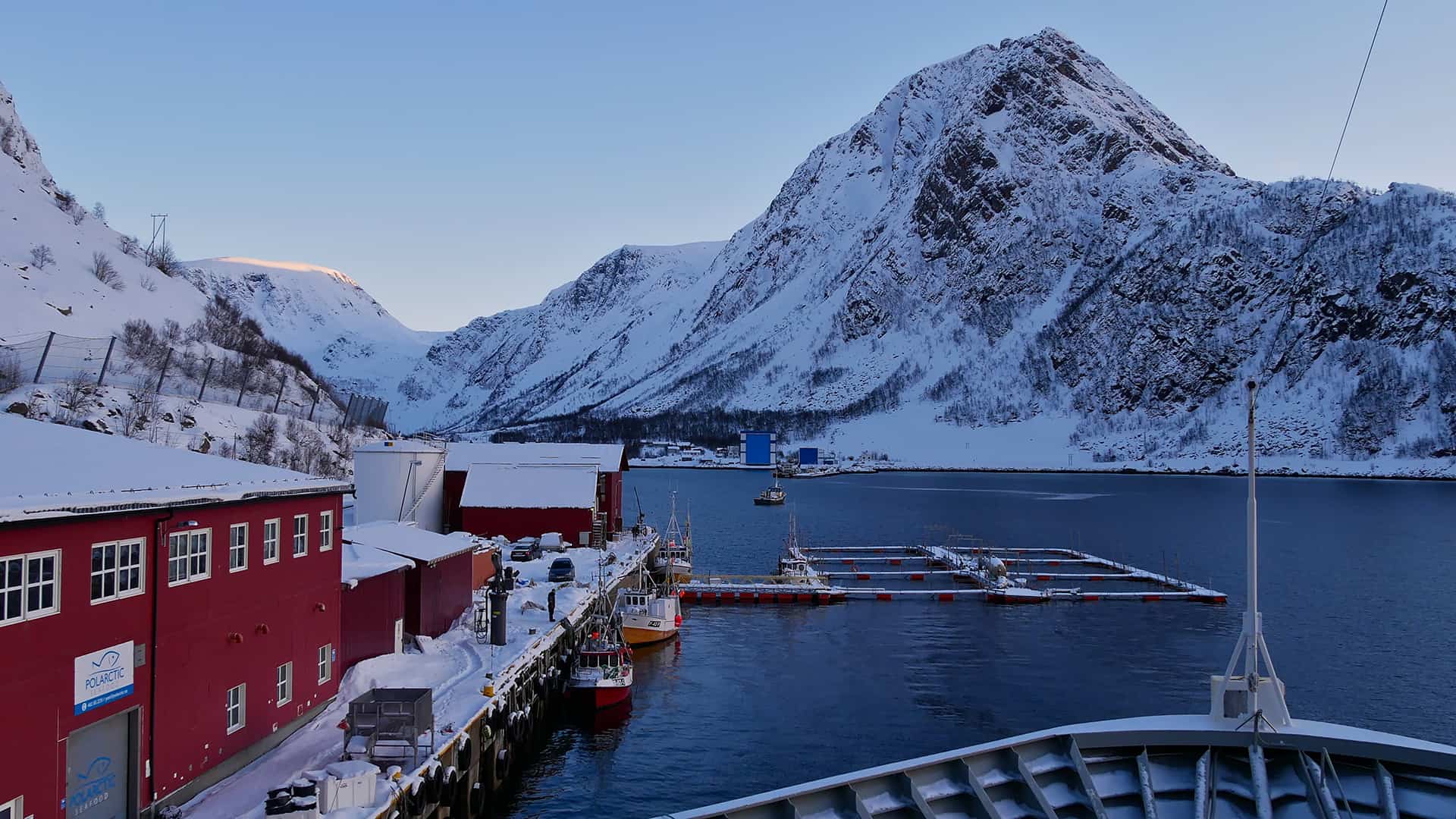 excursion aurore boréale norvège