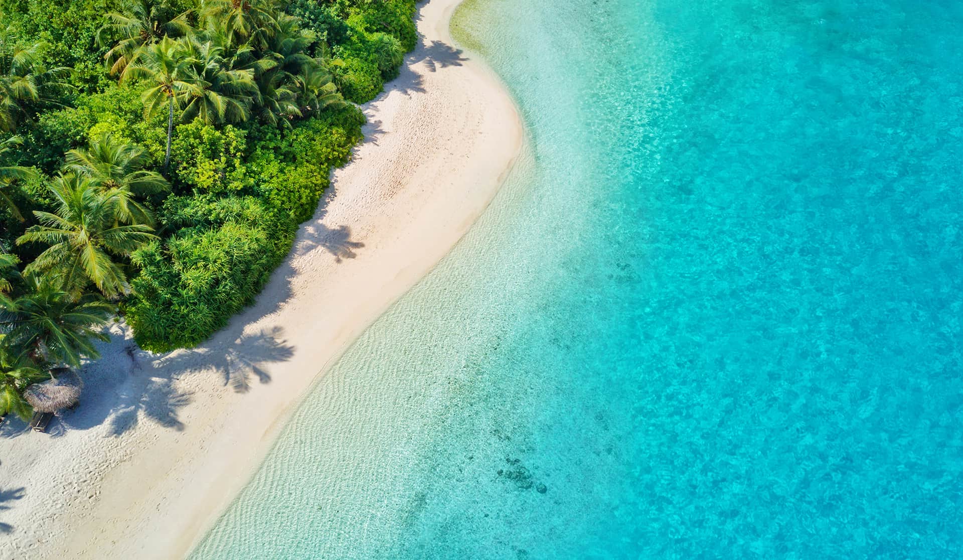 meilleures destinations mois janvier