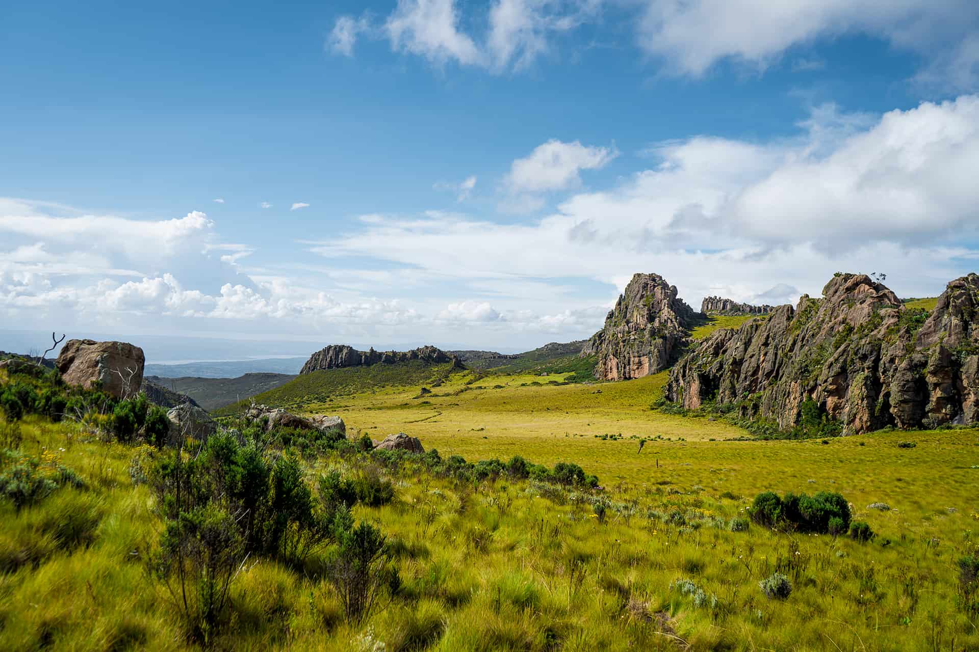 parc national aberdares