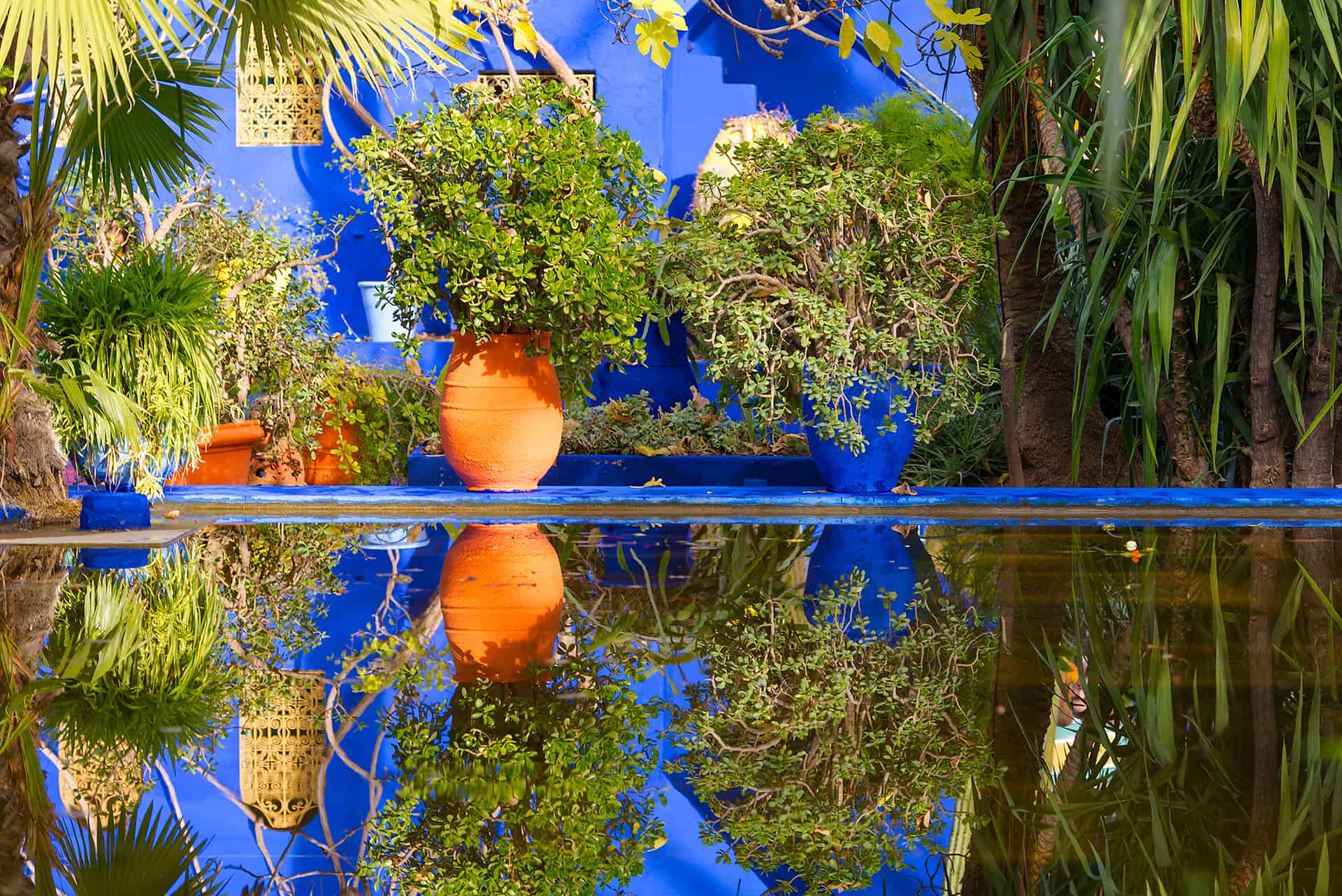 Visiter le Jardin Majorelle à Marrakech infos, billets et horaires