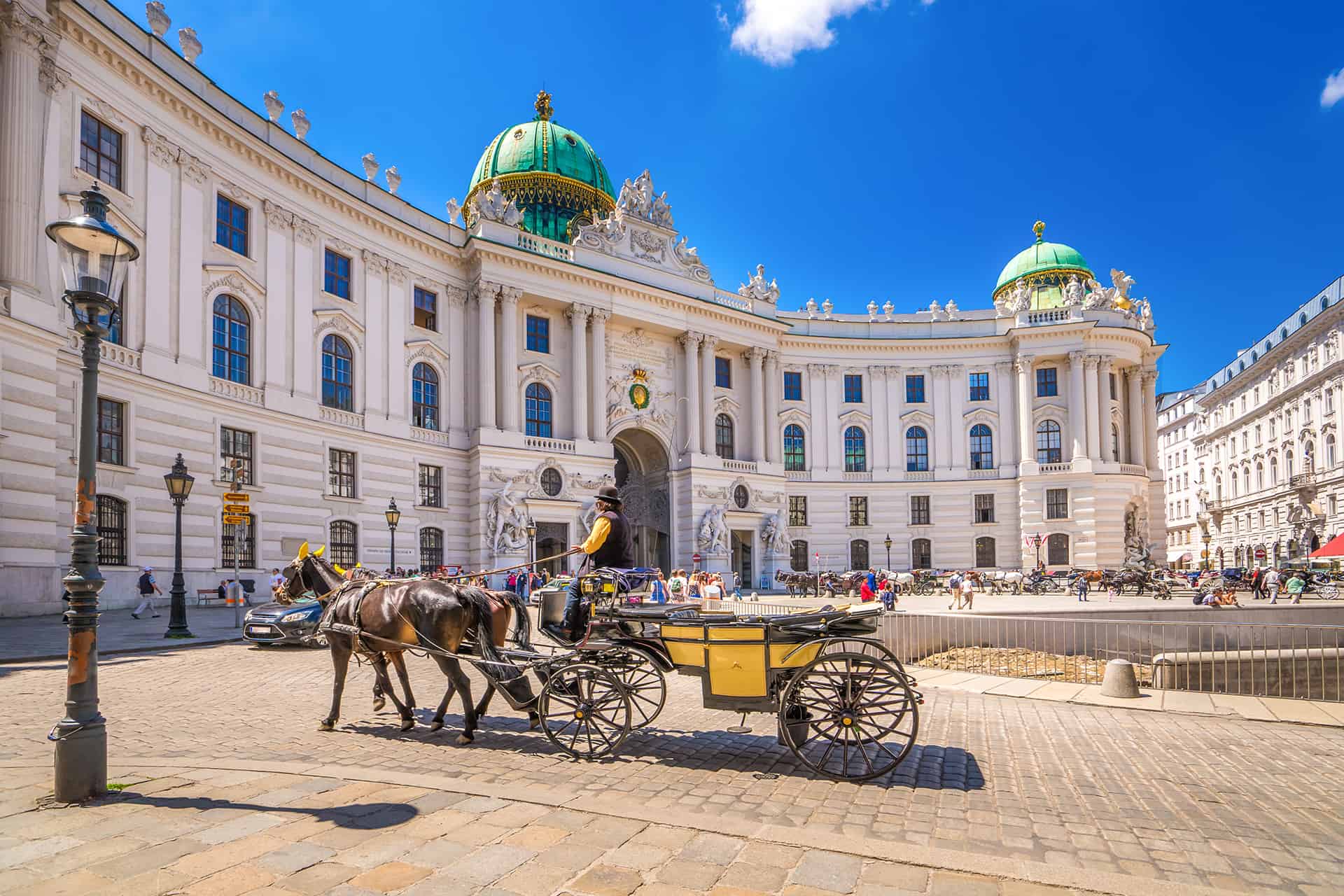 tour guide vienna