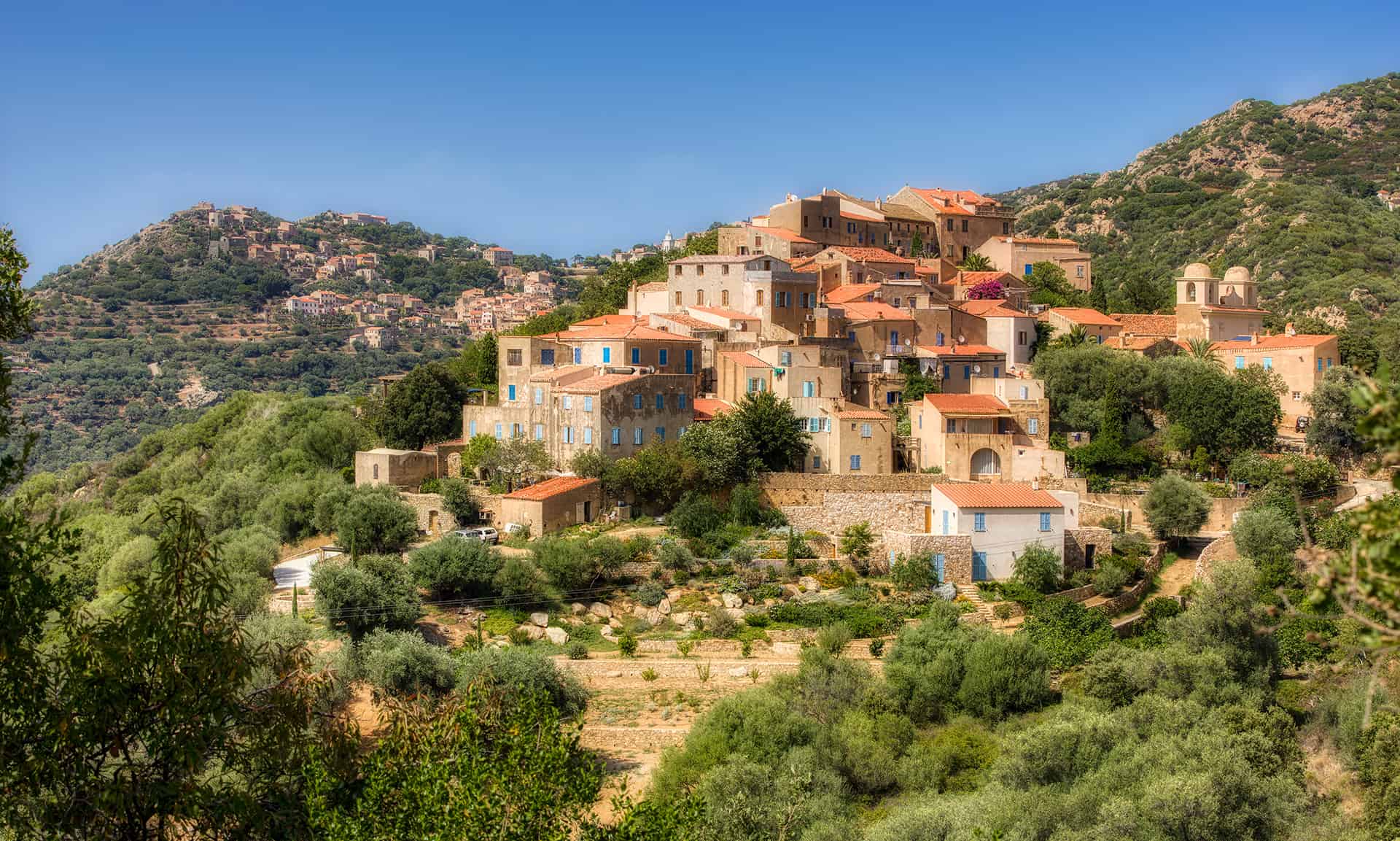 pigna corse