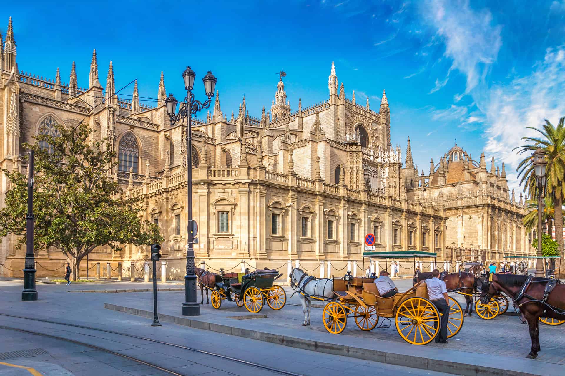 tour cathedrale seville