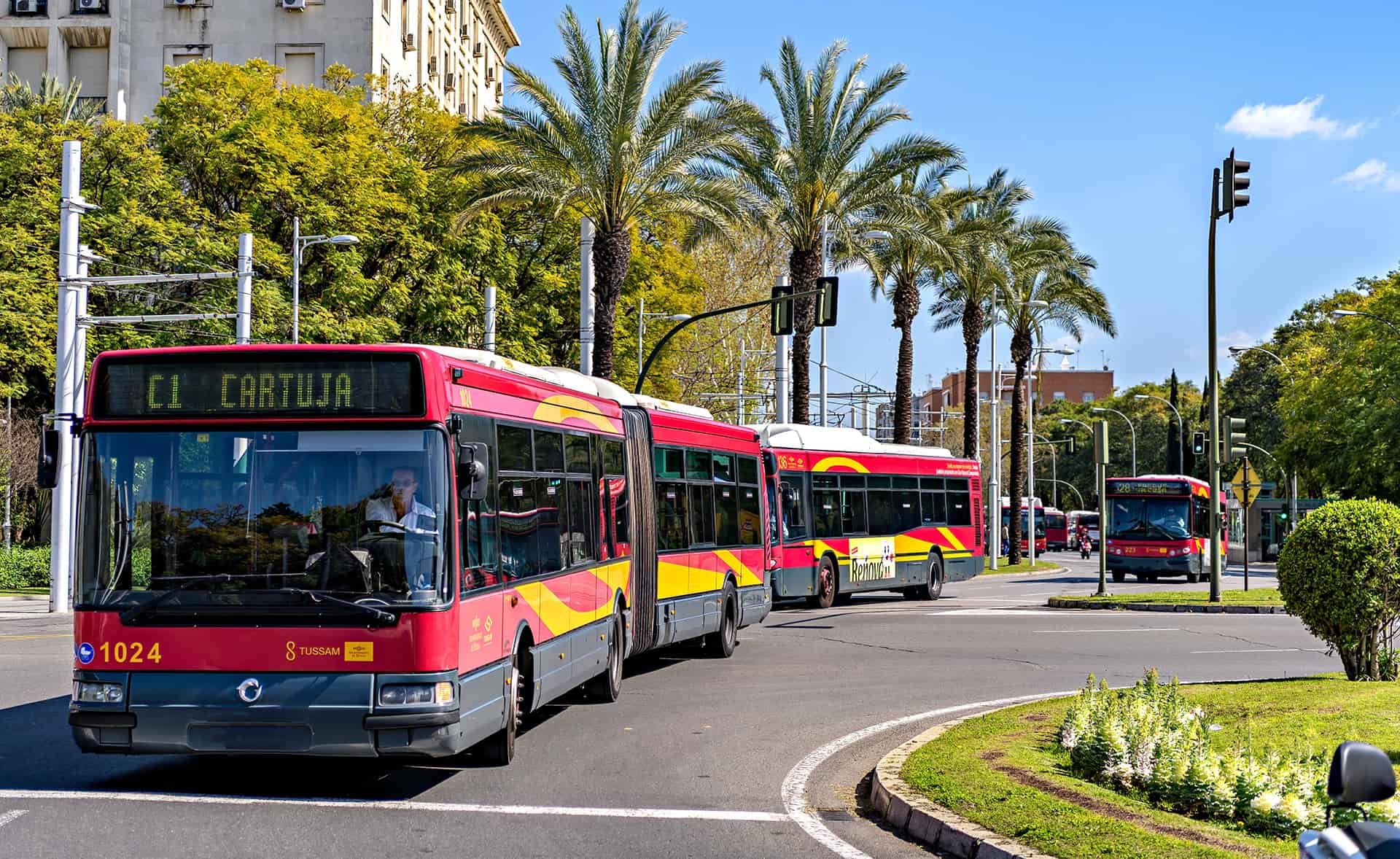 bus seville