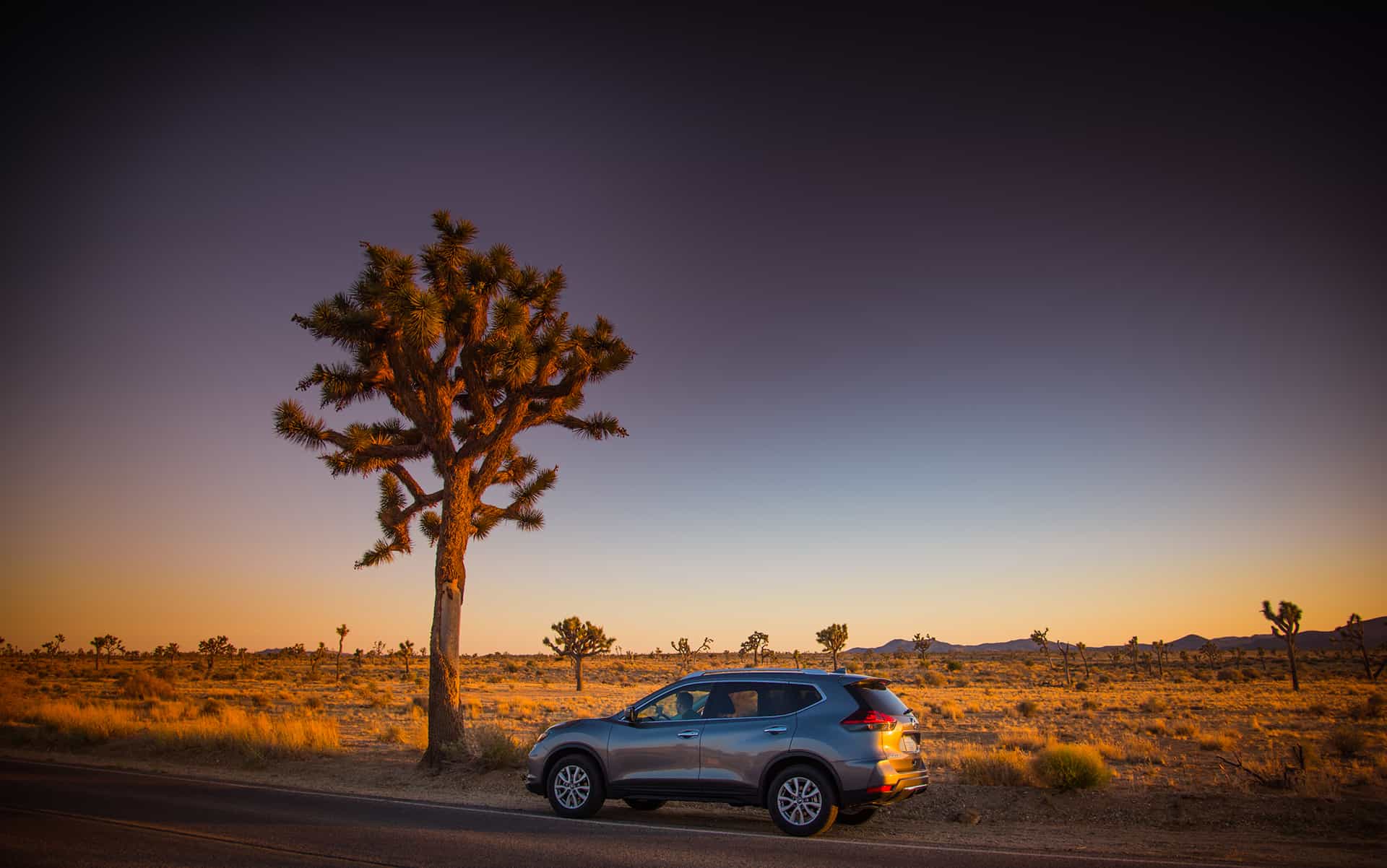 voyage voiture californie