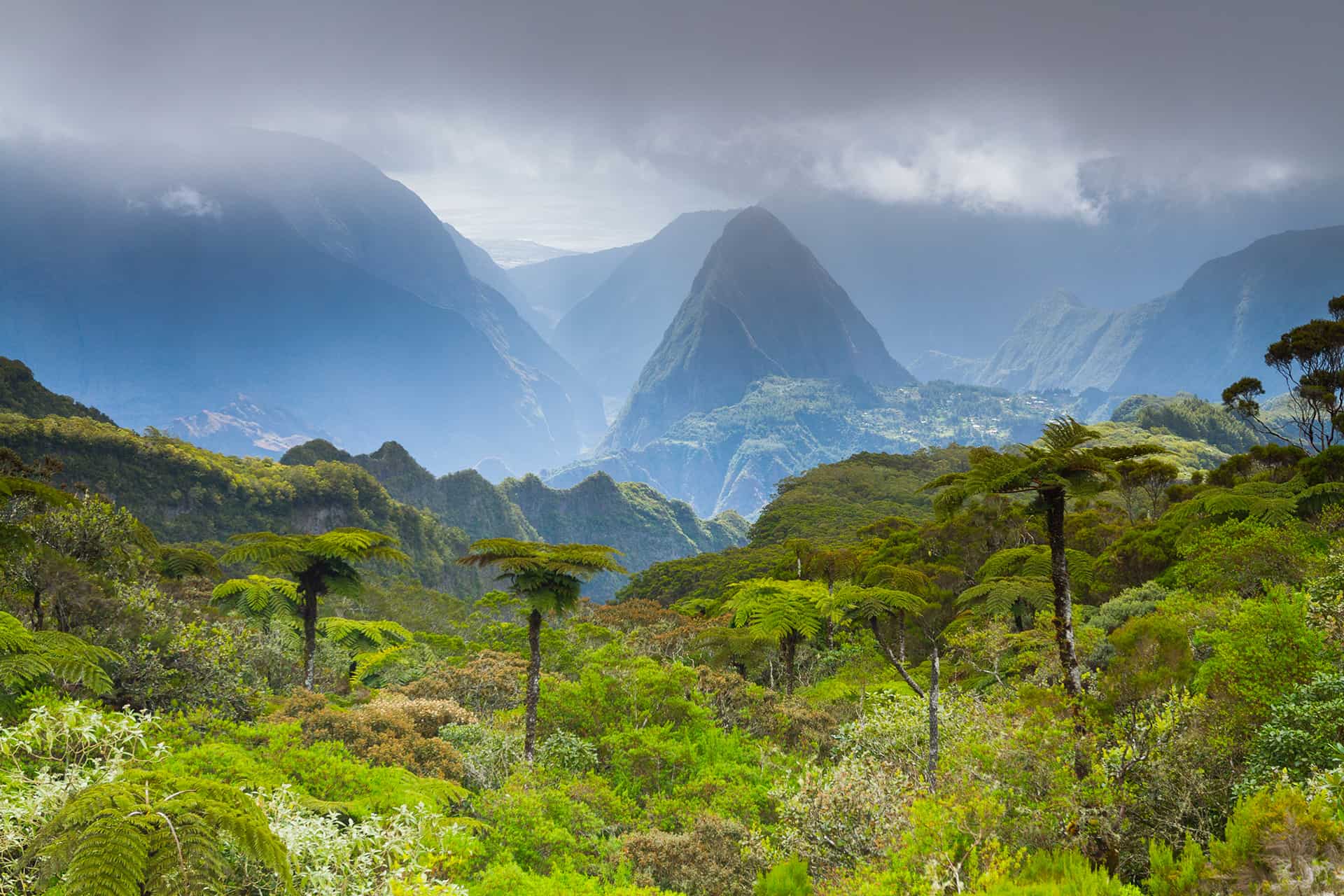 conseil voyage la reunion