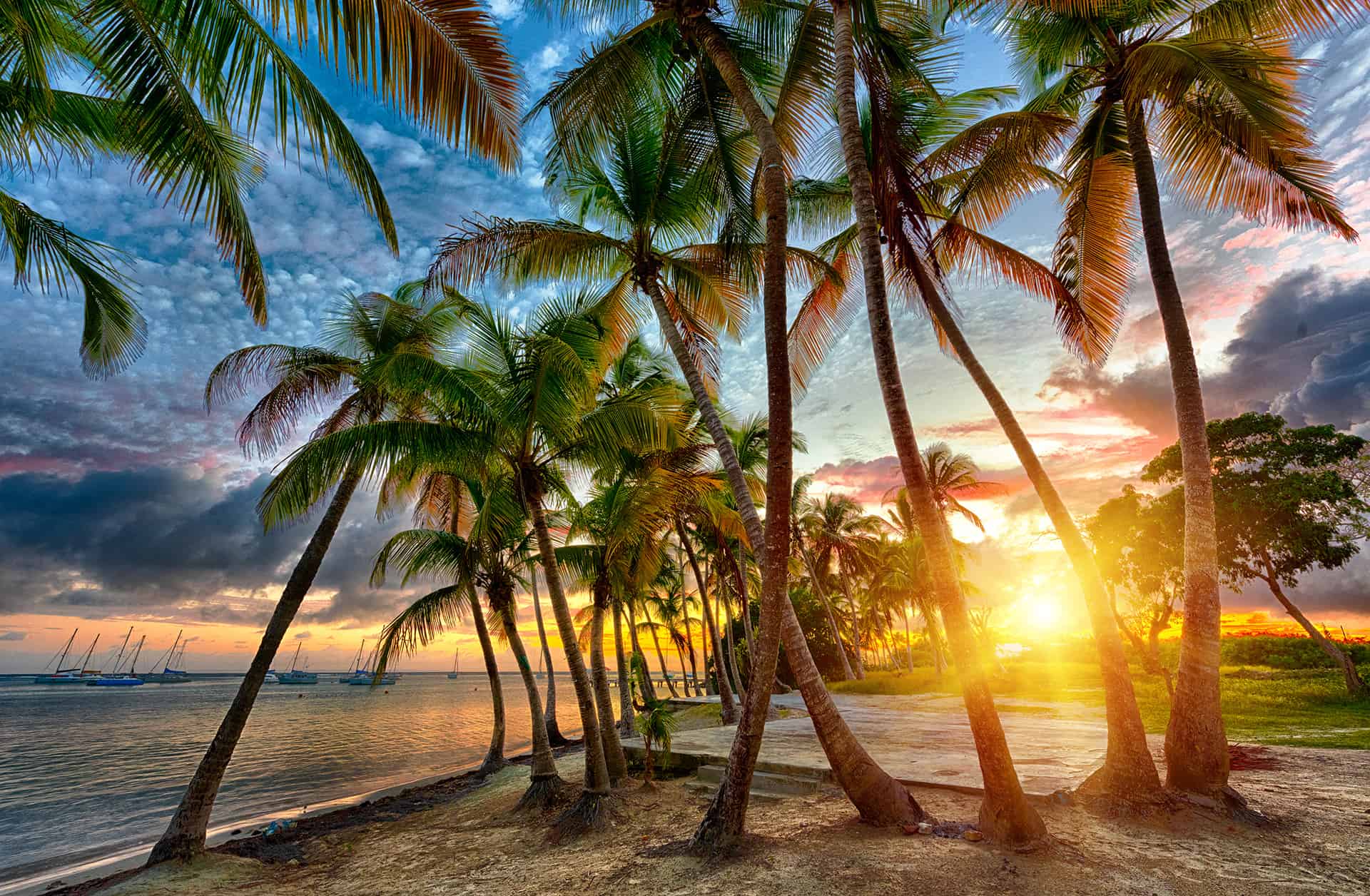 Visiter la Guadeloupe en 10 jours ? Mon itinéraire et mes endroits préférés