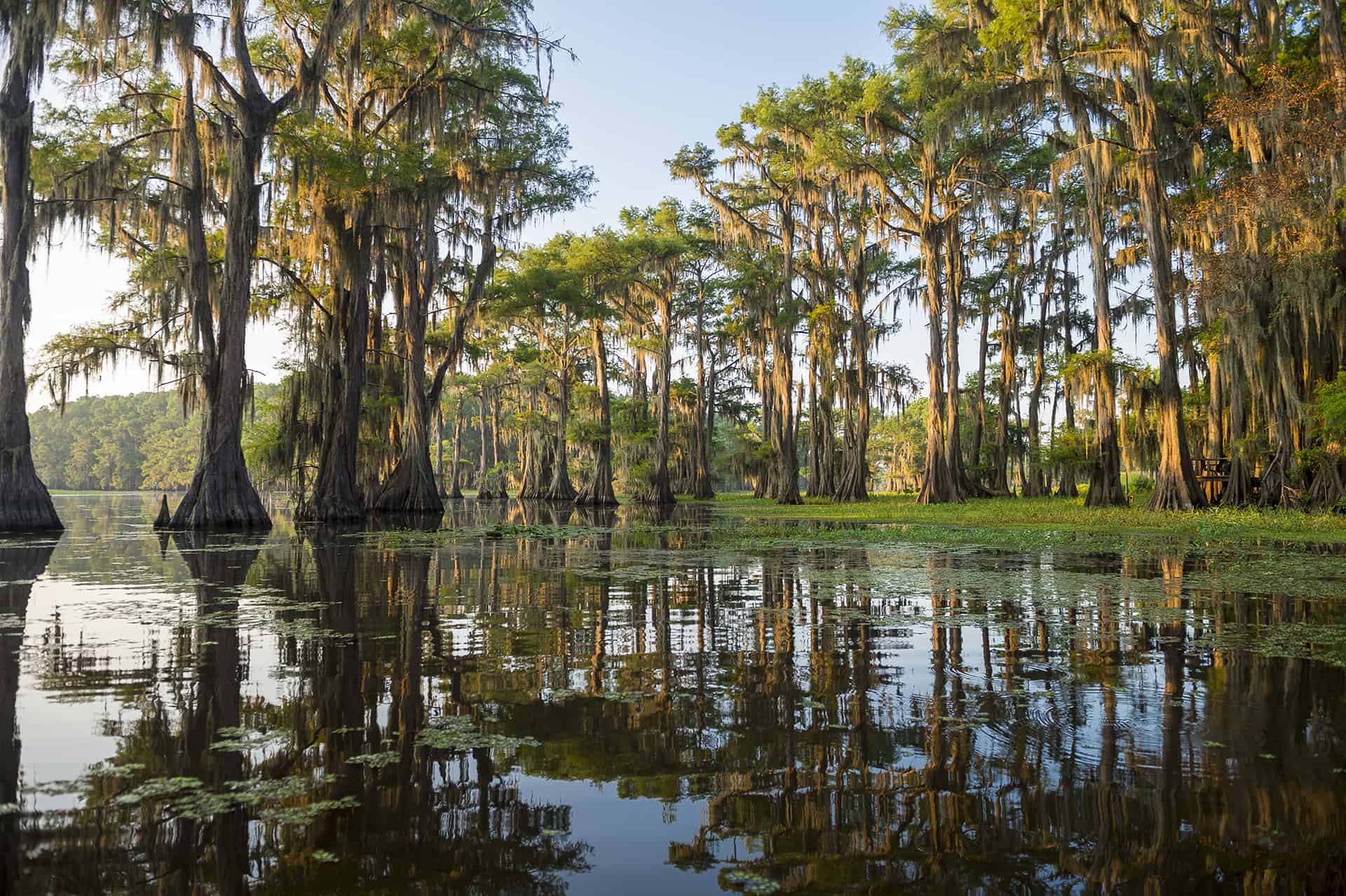 voyager en louisiane