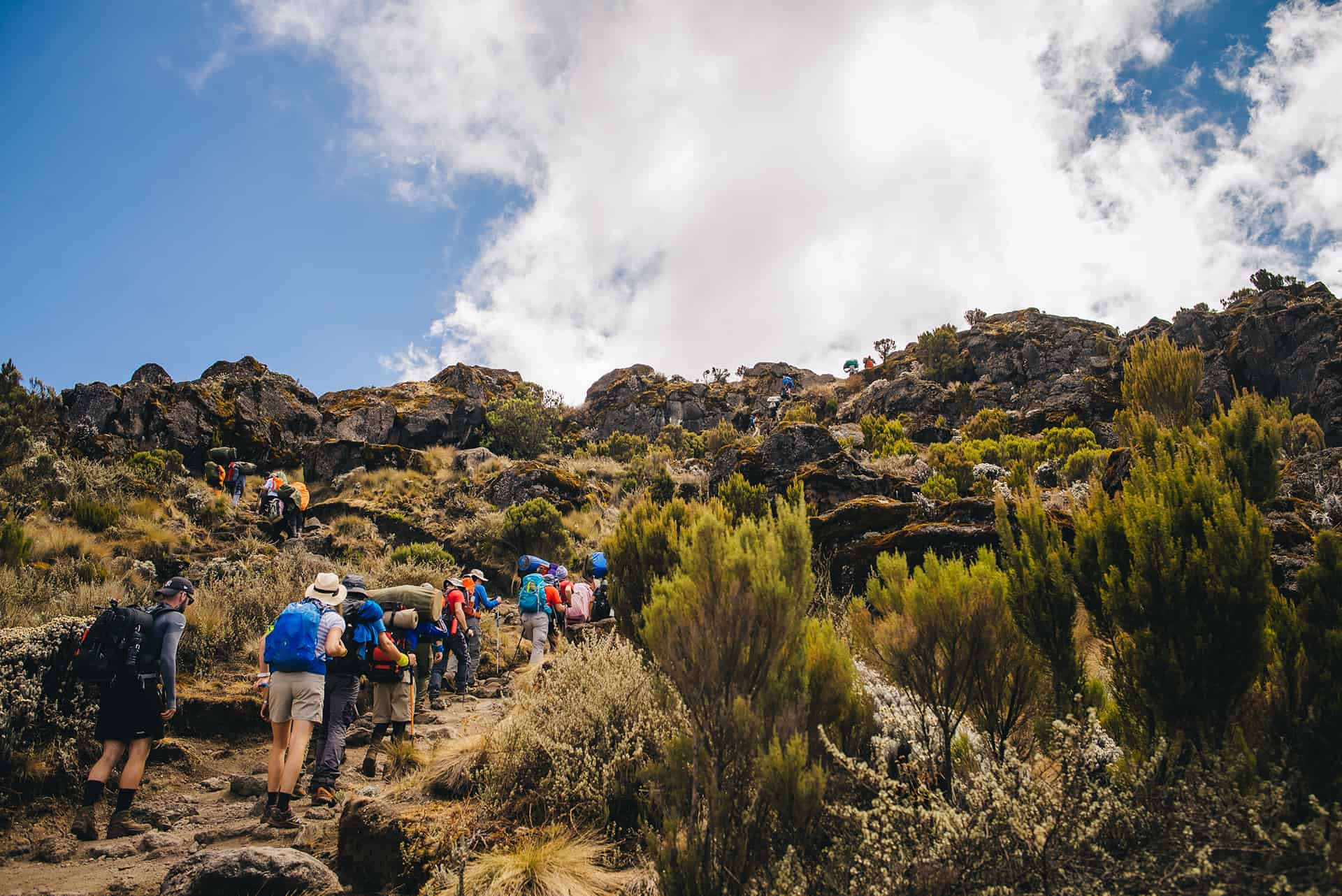 ascension kilimanjaro