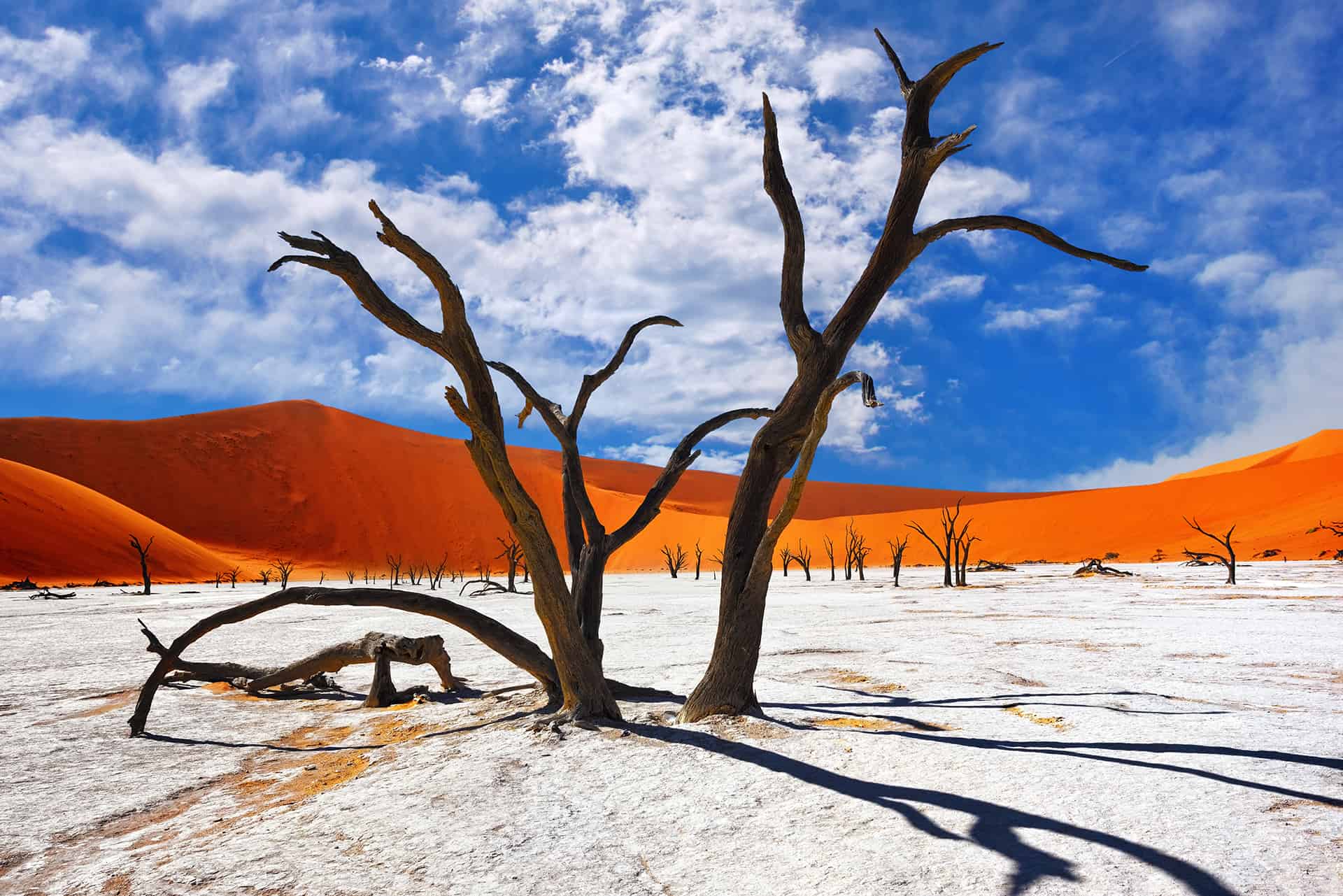 namibie quand partir