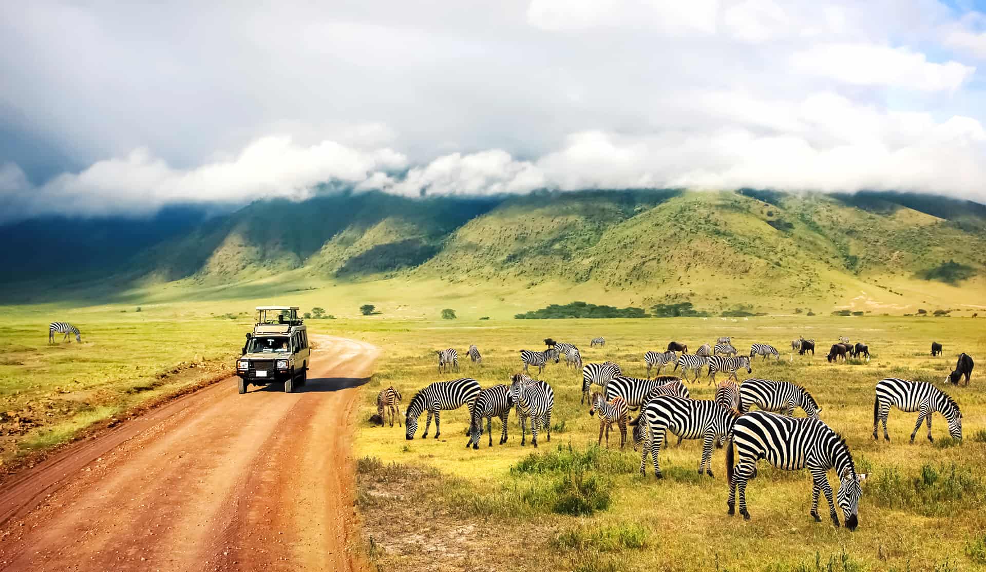 safari tanzanie quand