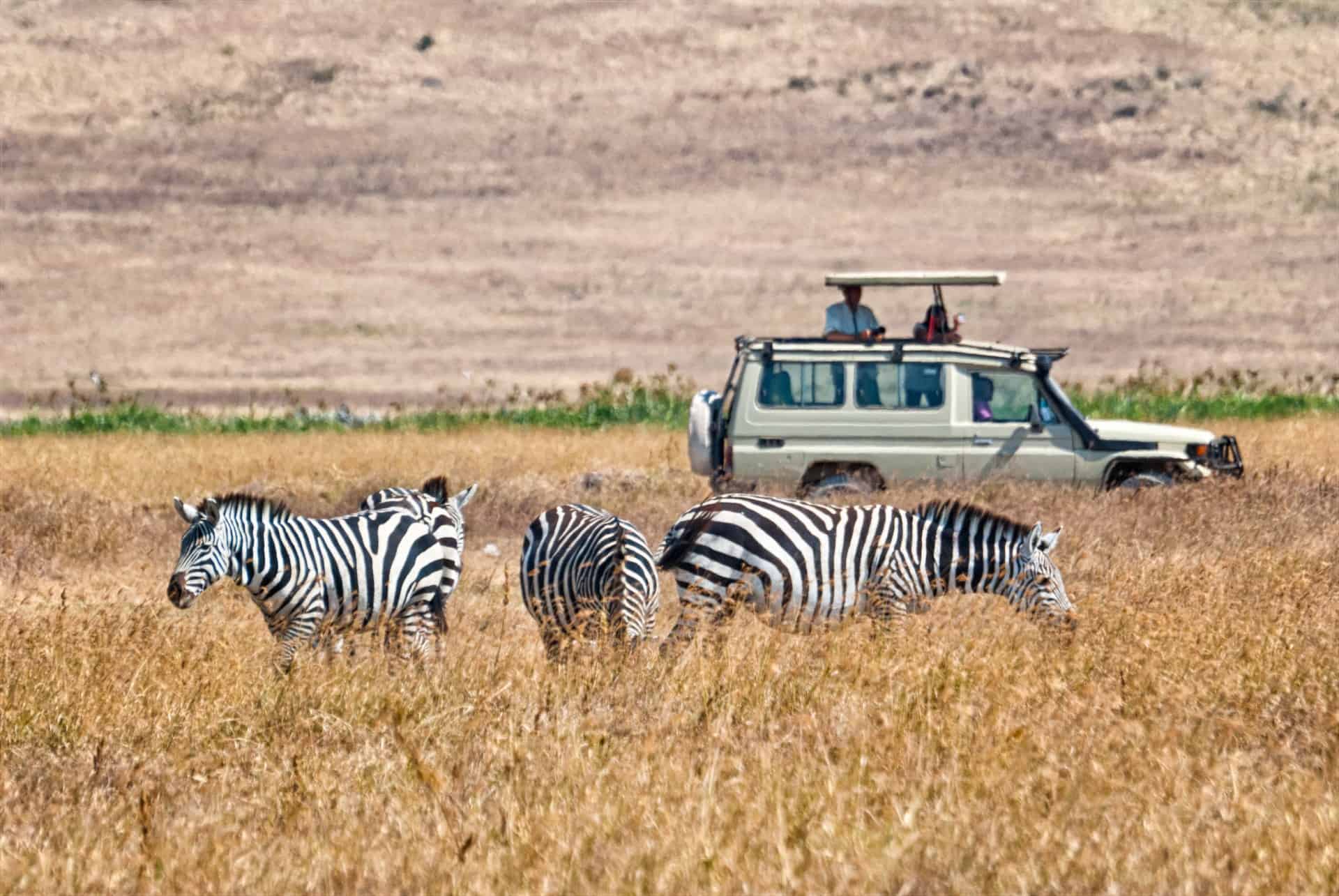 safari kenya tanzanie