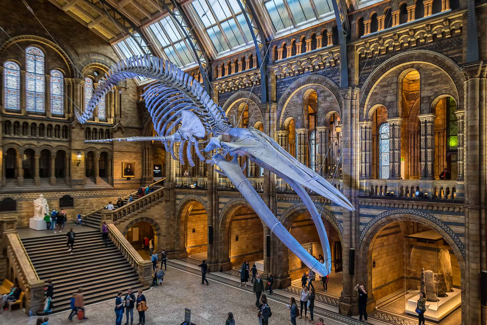 natural history museum londres