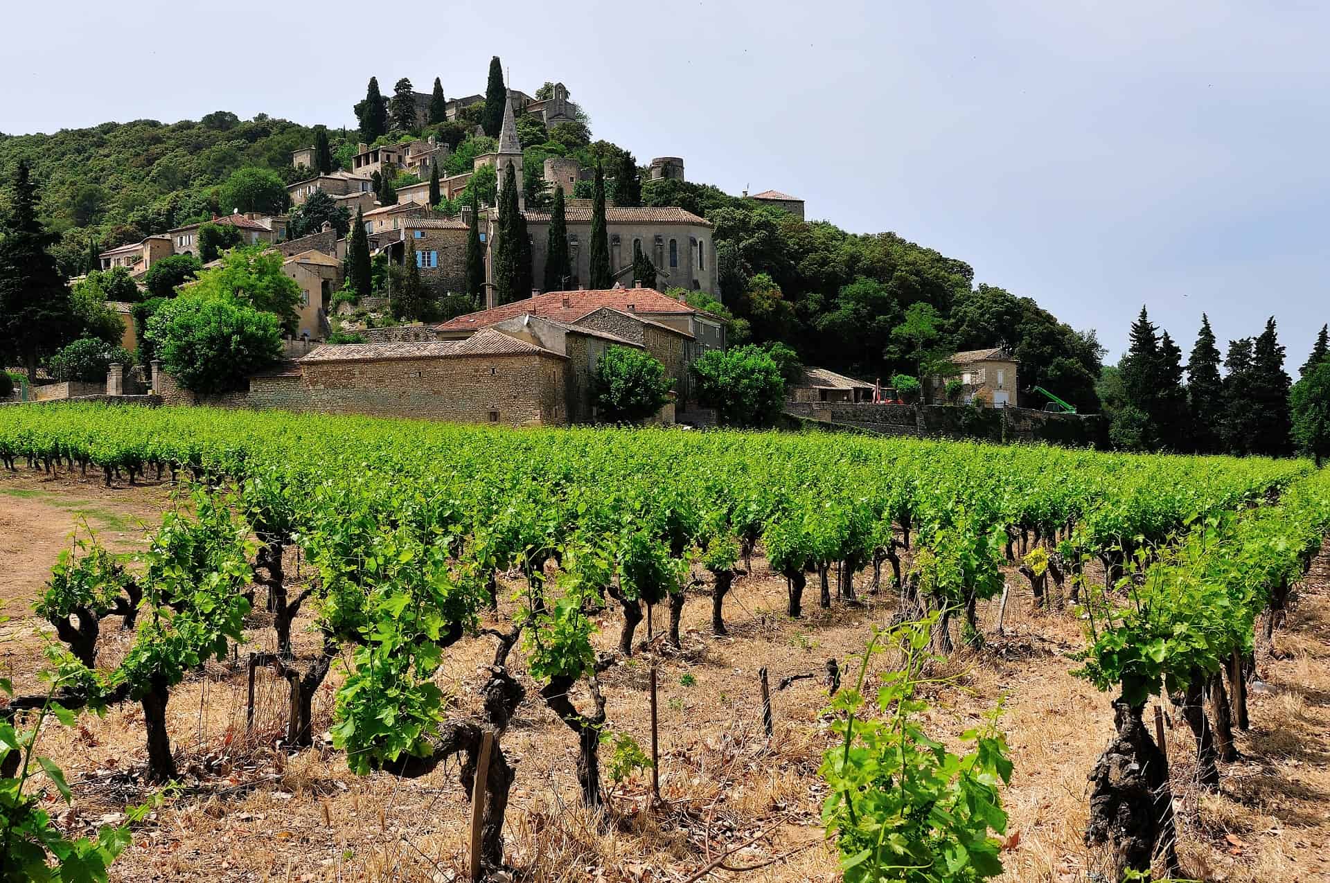 vignobles ardeche