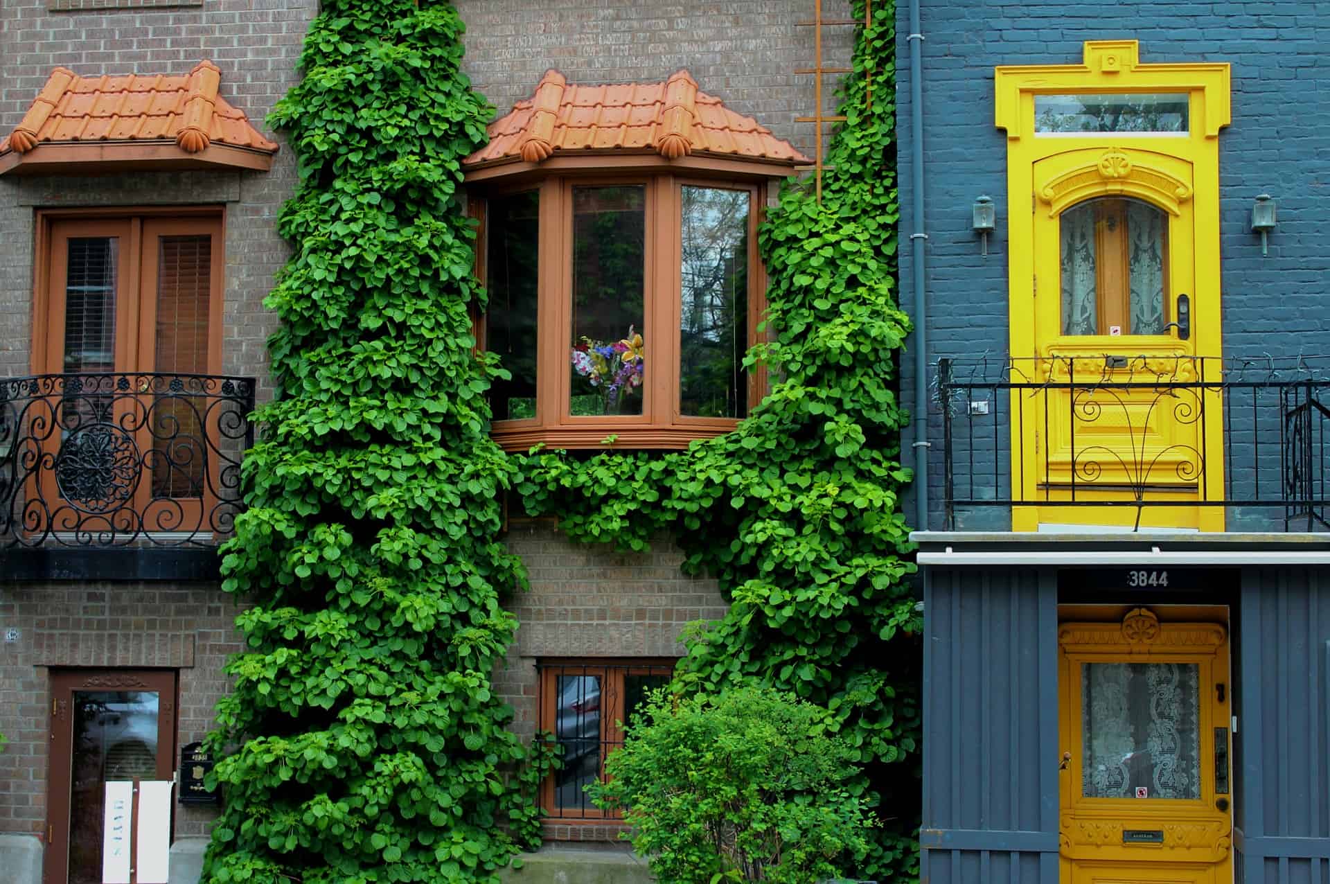 loger a plateau mont royal