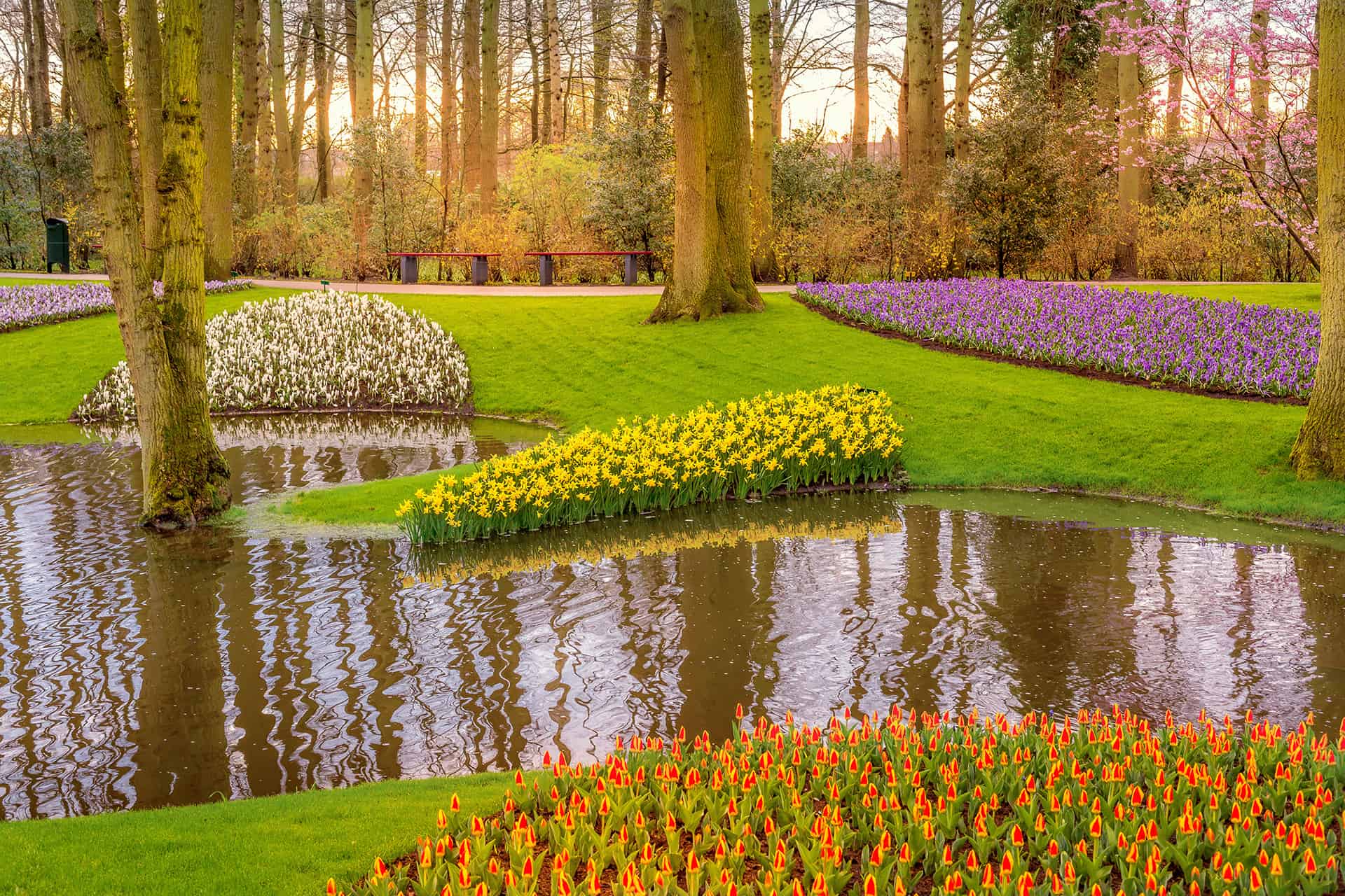 leclerc voyage keukenhof