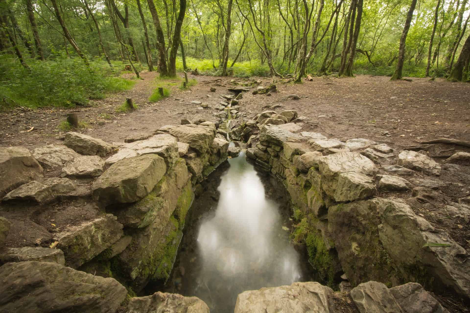 foret de broceliande