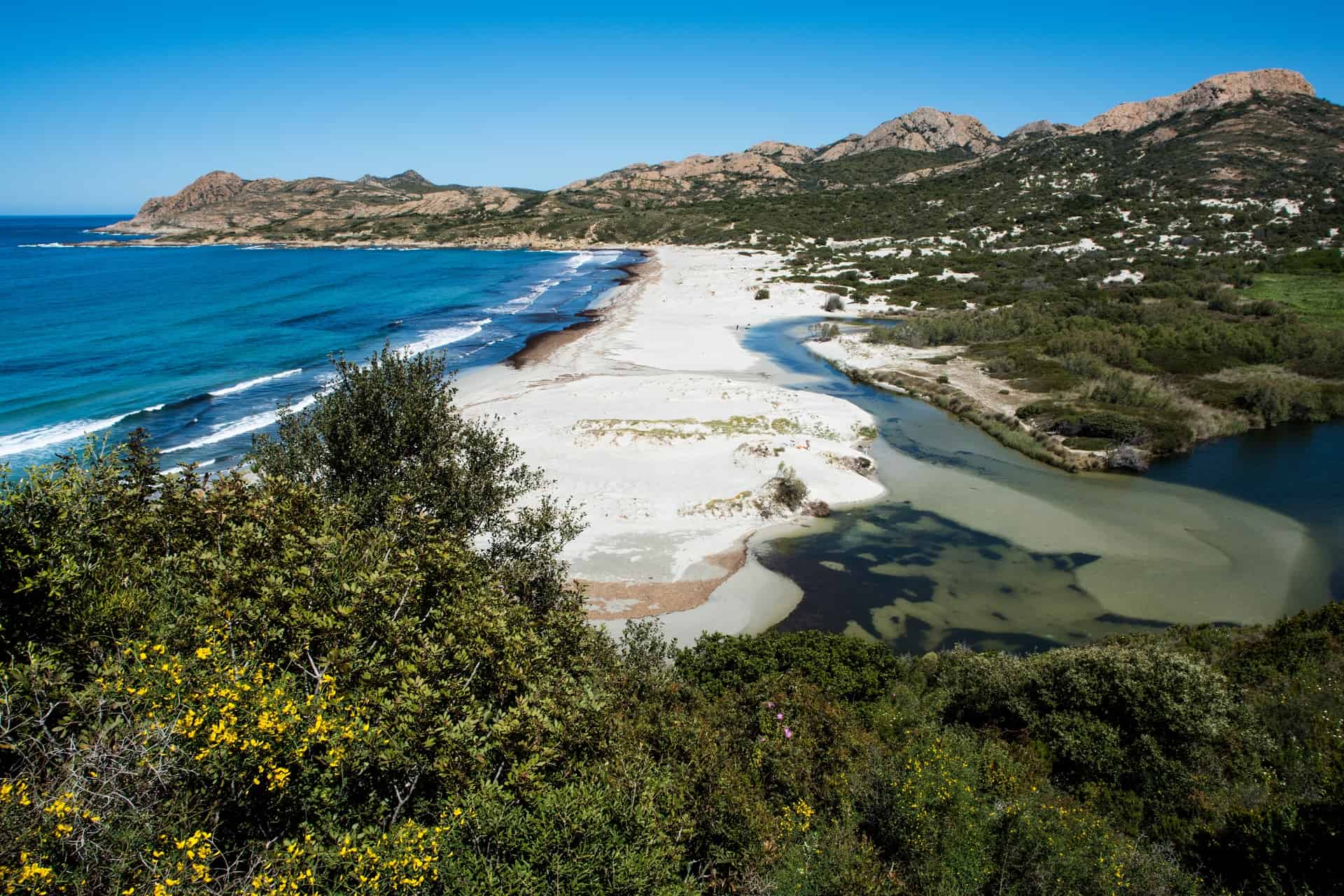 plage ostriconi