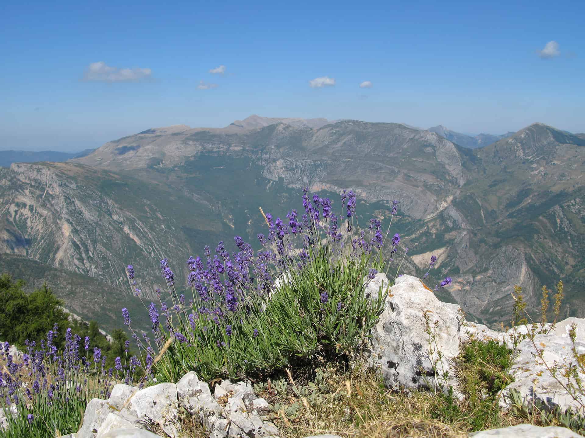 sejour gorges du verdon