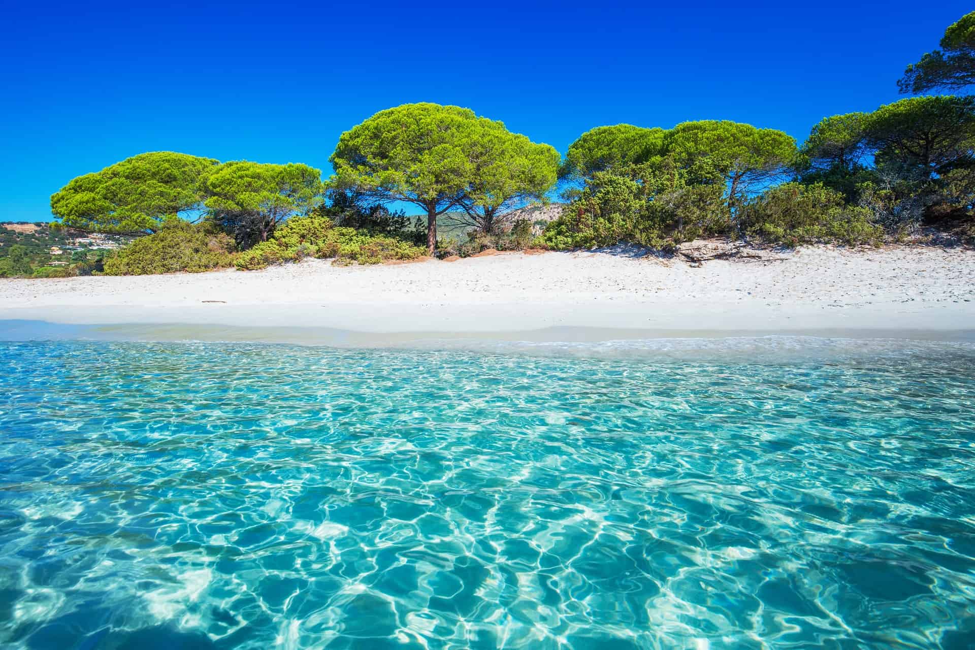 La Calanque Den Vau Les Plus Belles Plages De Marseille Pour Un Porn