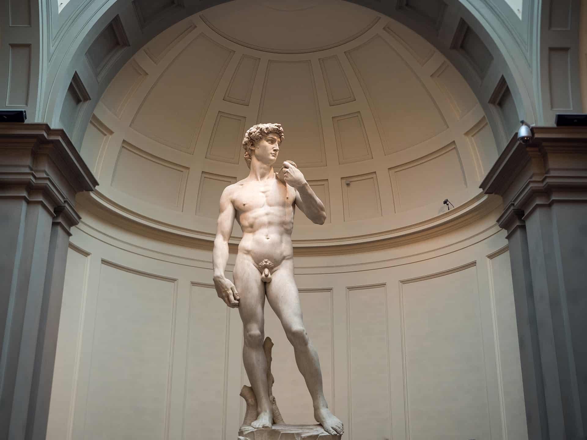 david michelangelo