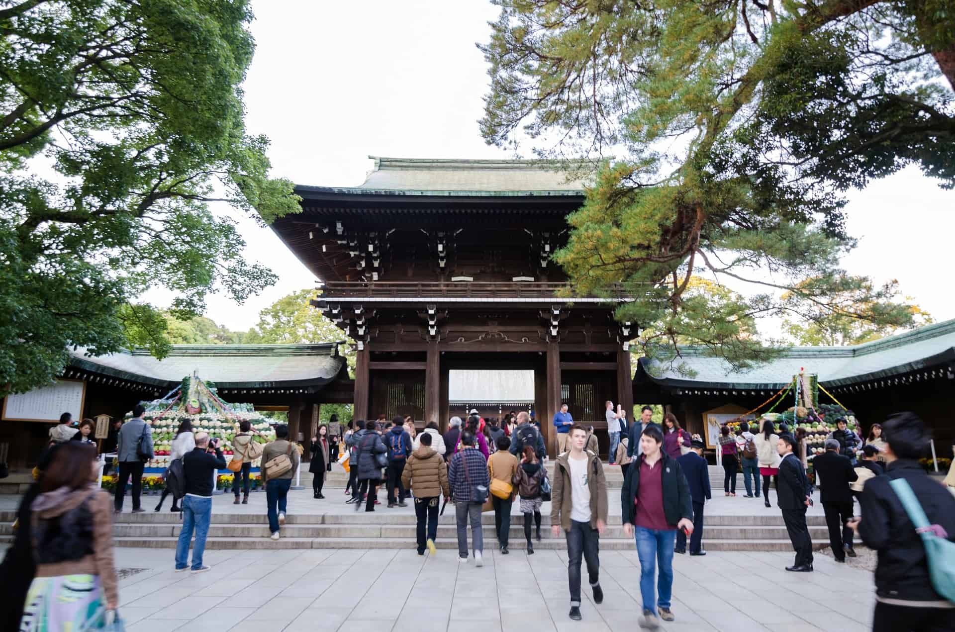 meigi jingu