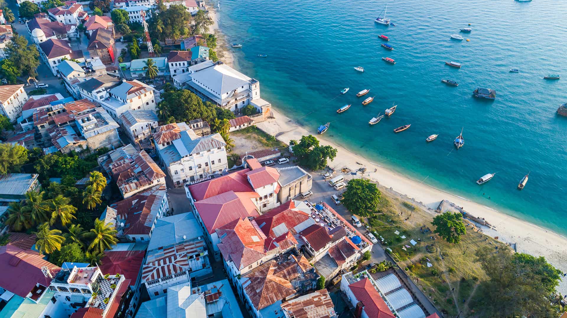 Que faire à Zanzibar ? Top 8 des endroits à ne pas manquer sur place