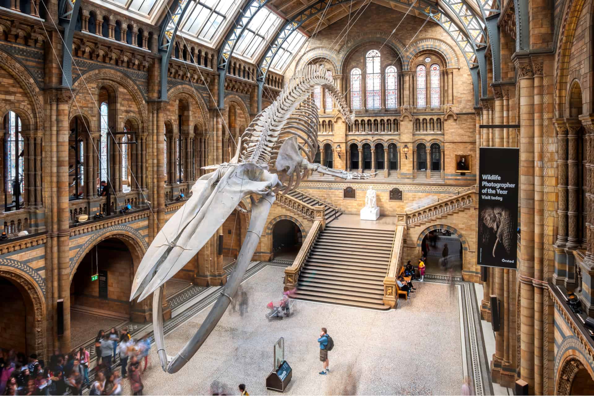 natural history museum