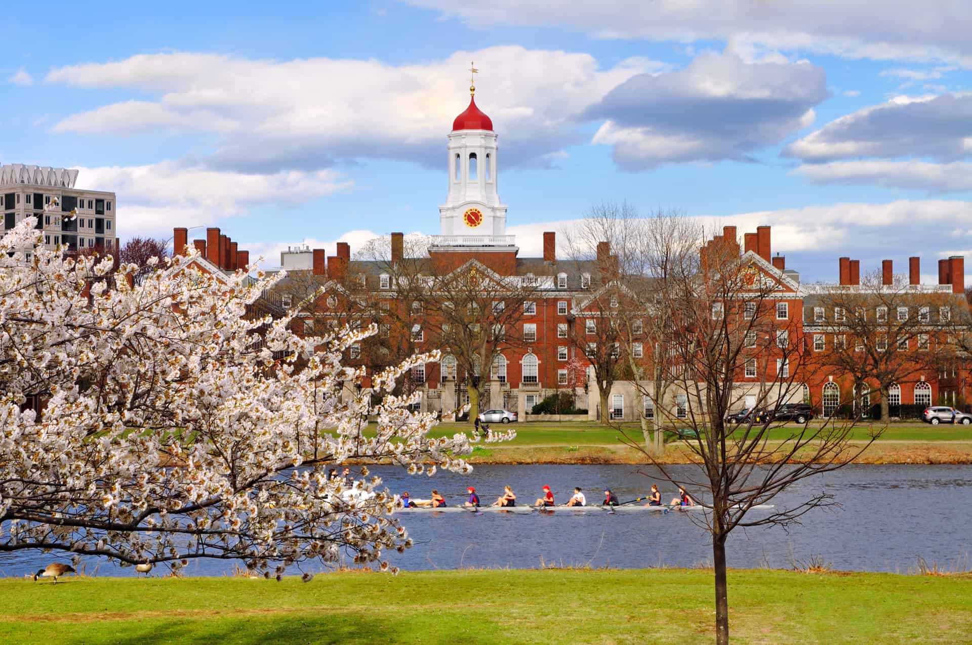 campus harvard