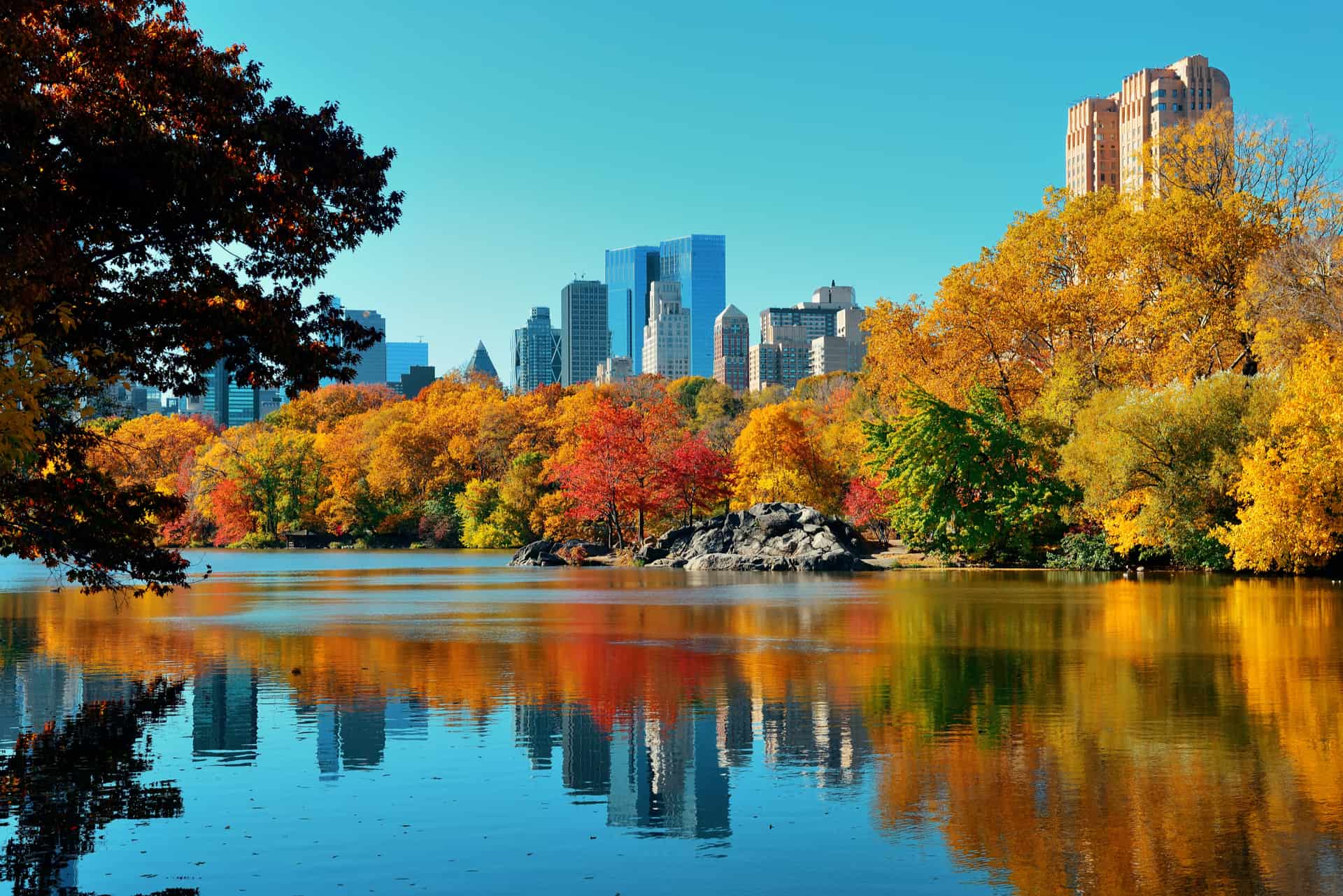 central parc automne