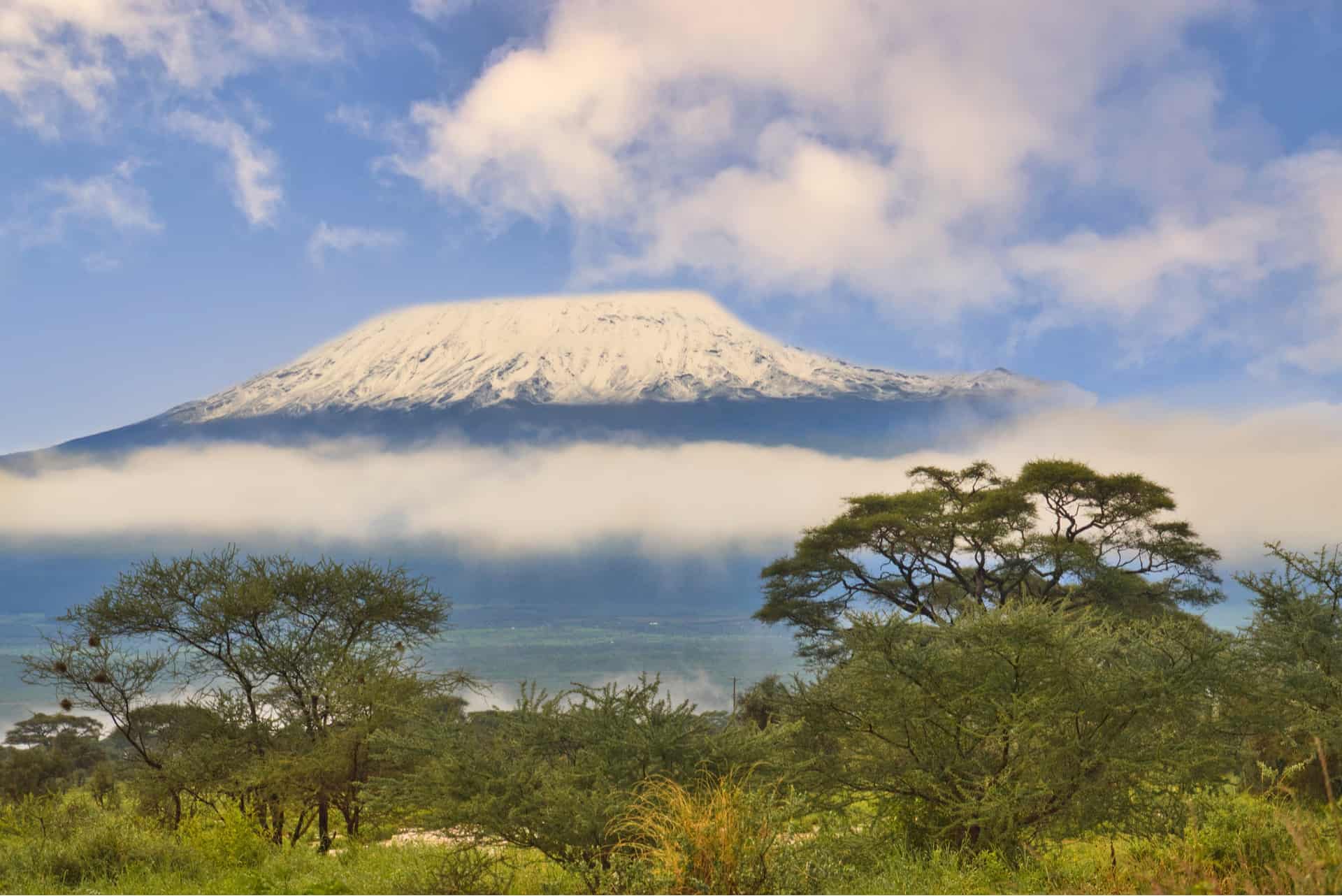 kilimandjaro