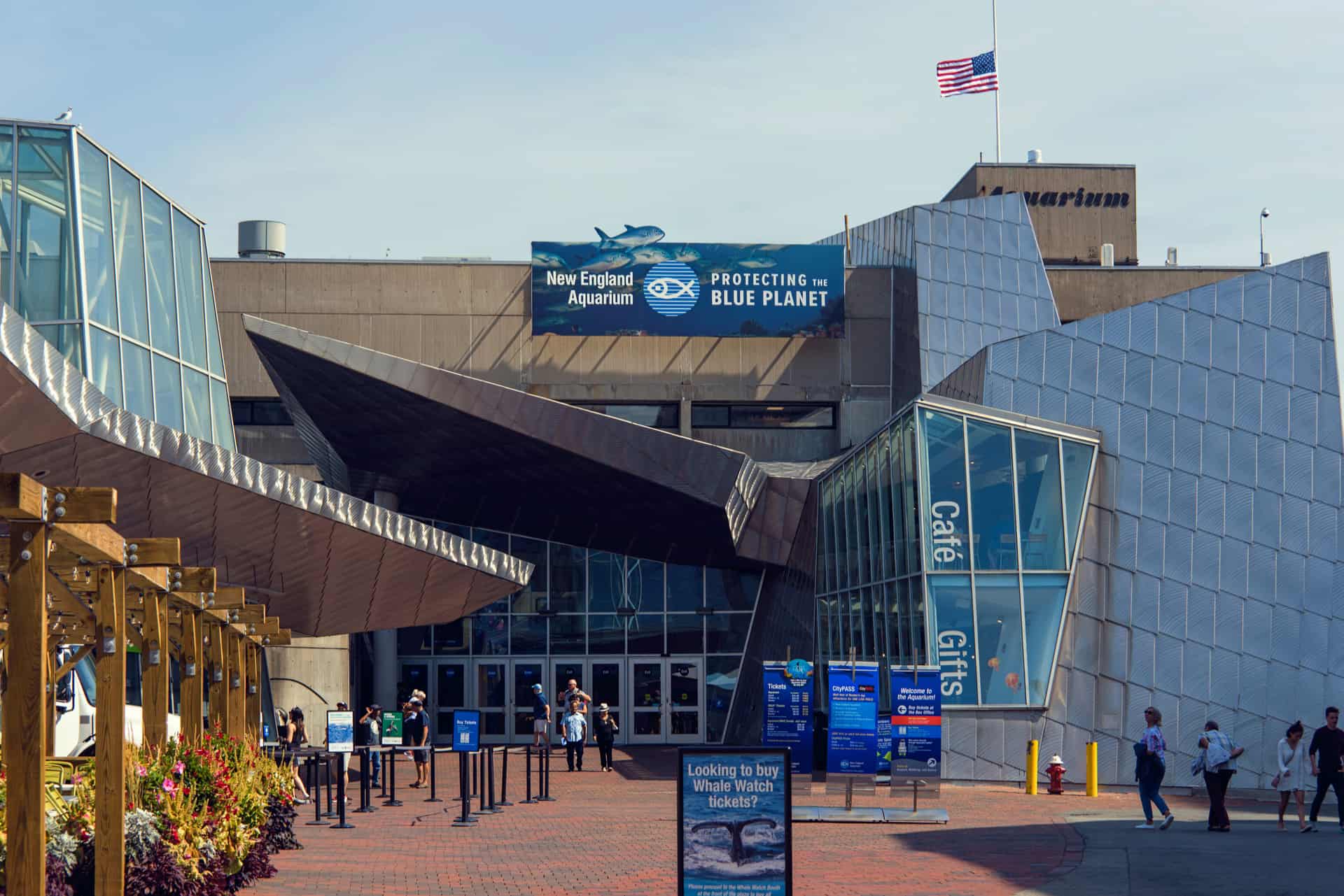 new england aquarium