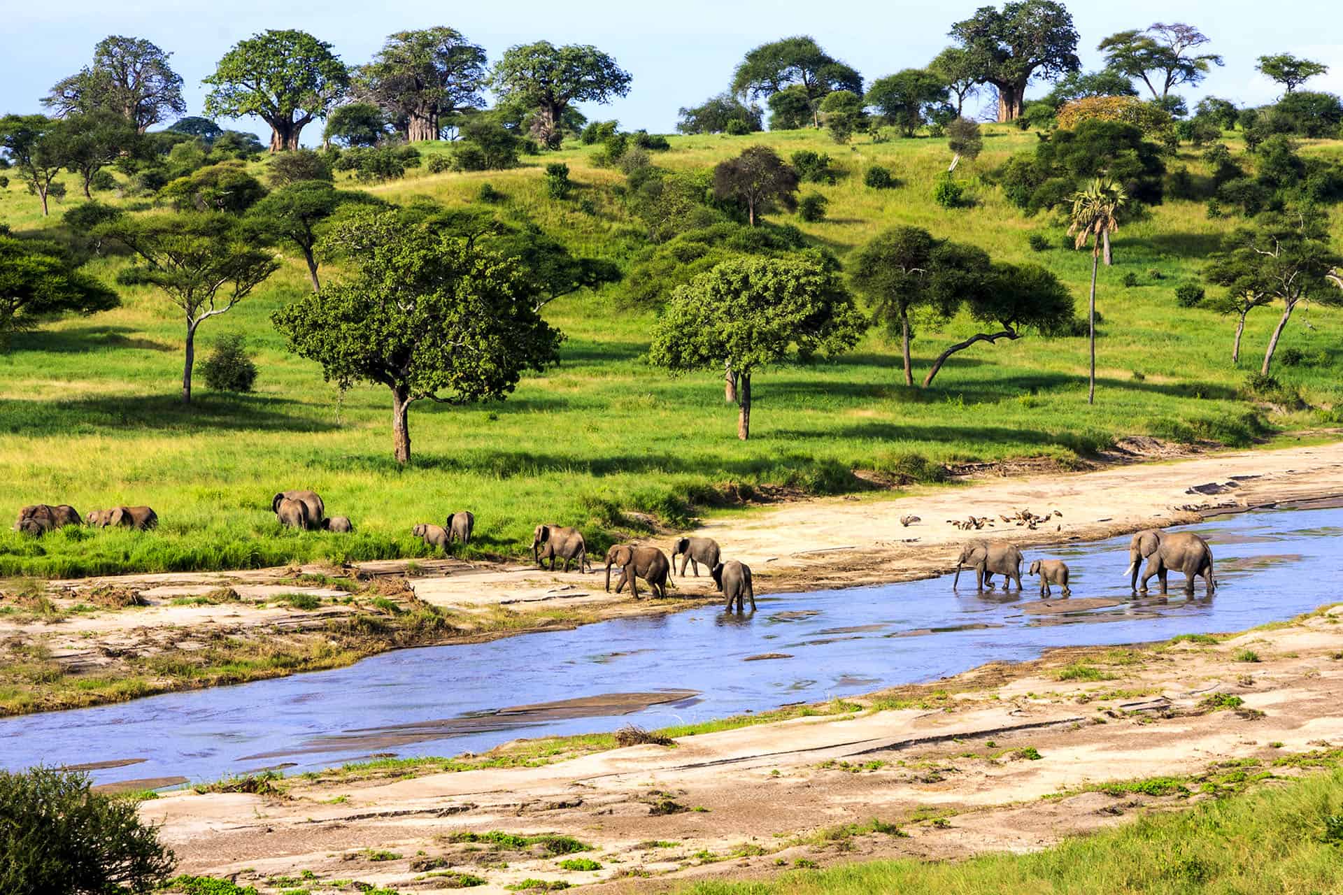 voyage tanzanie serengeti
