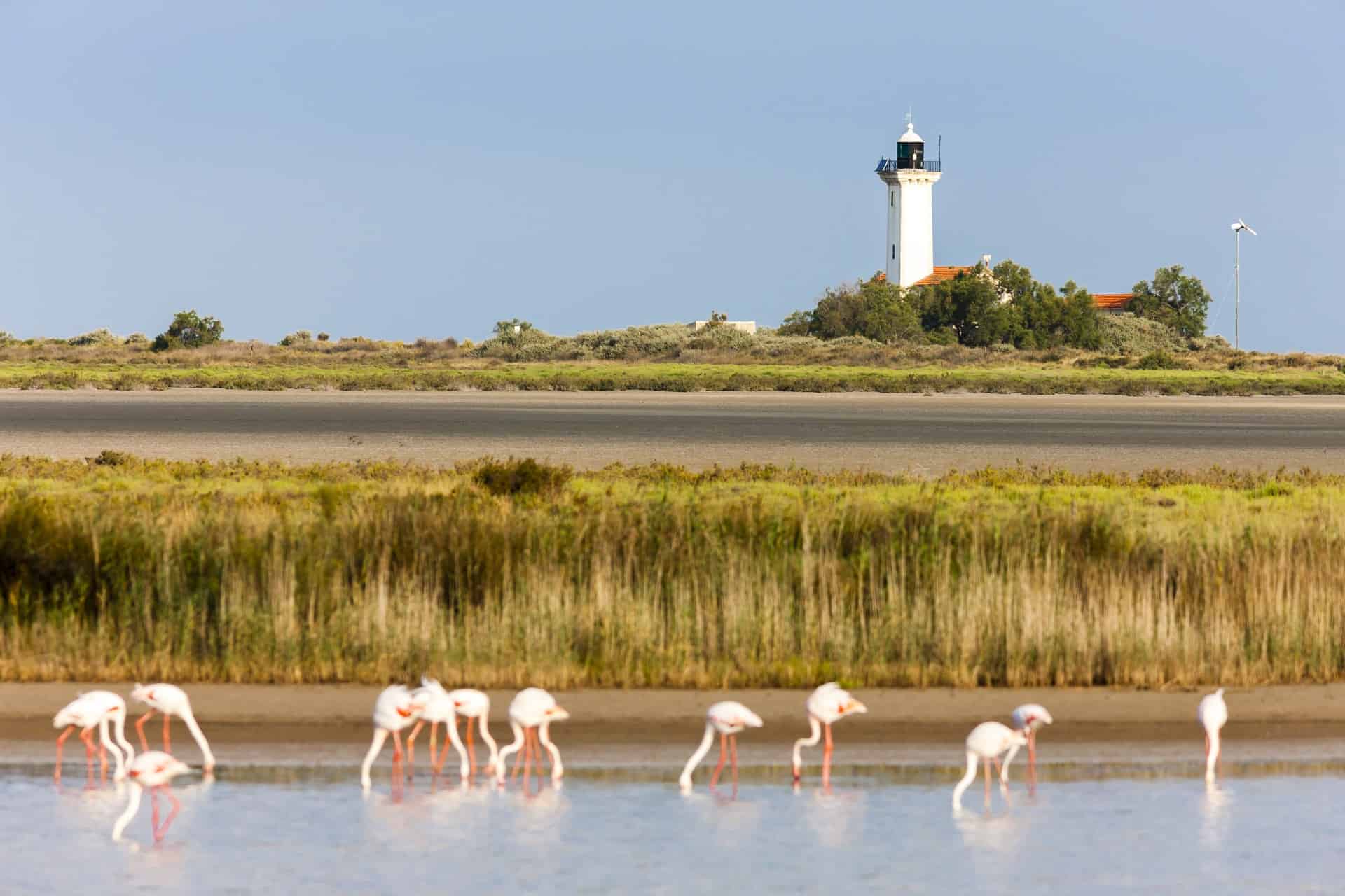 phare de la gacholle