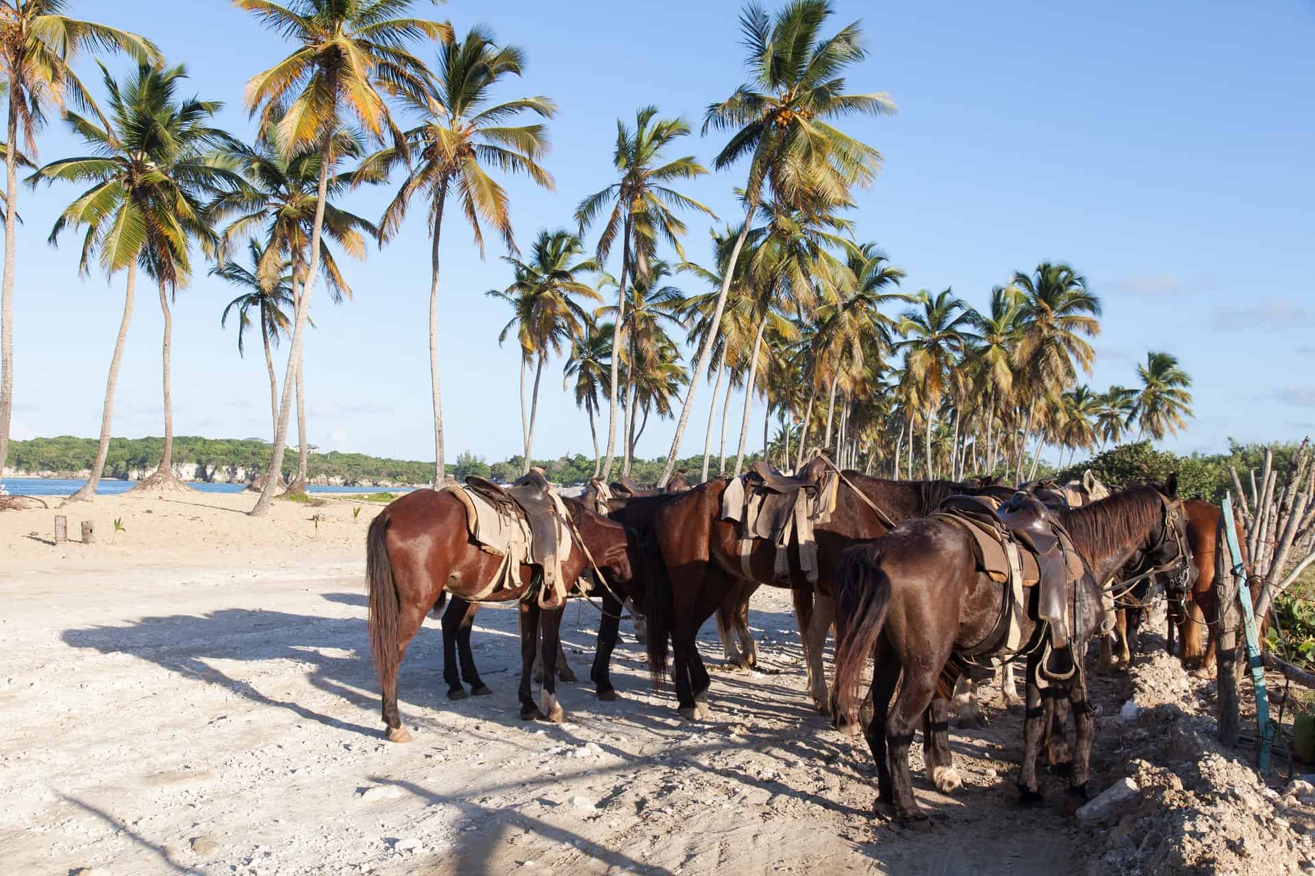 playa macao 