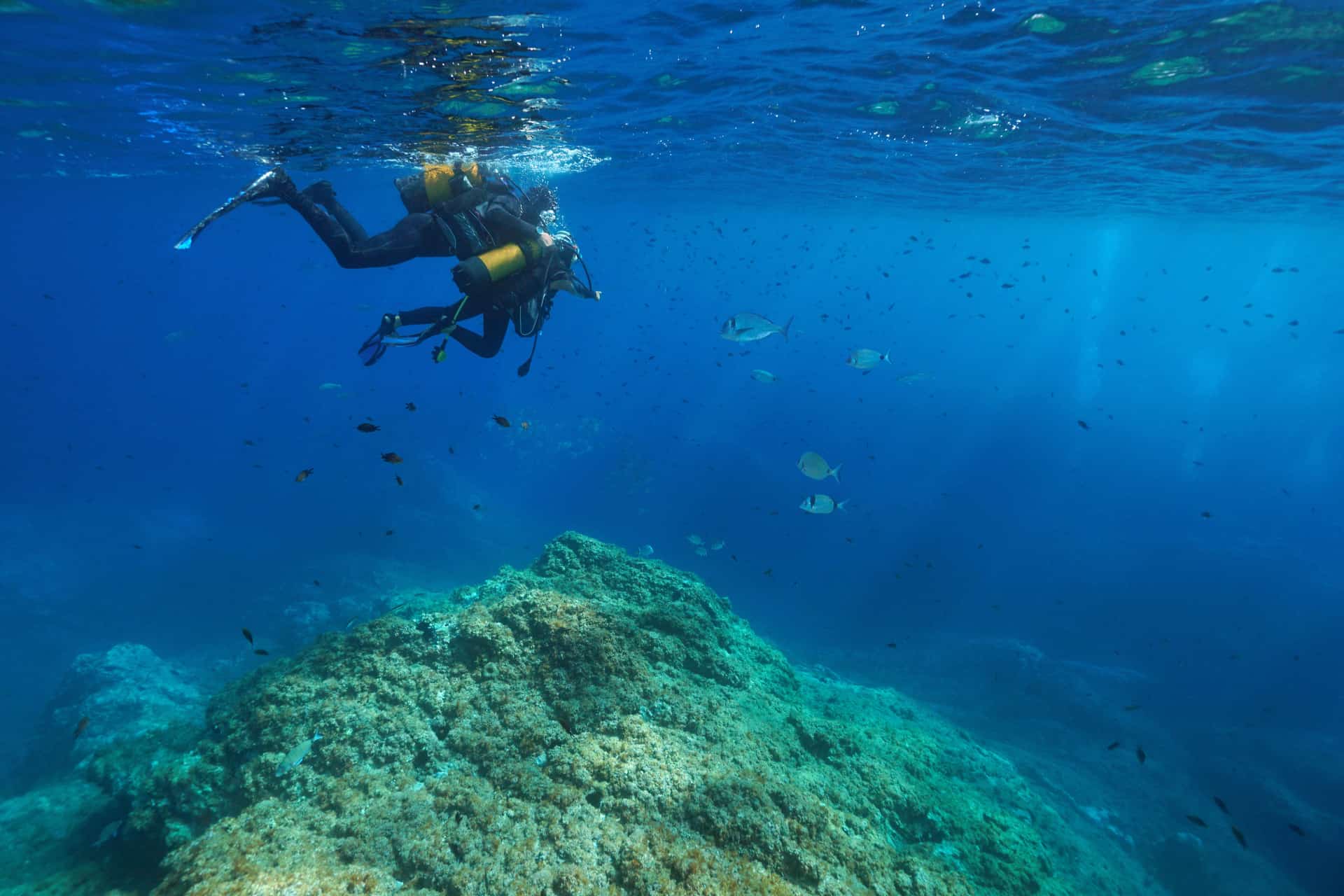plongée sous-marine
