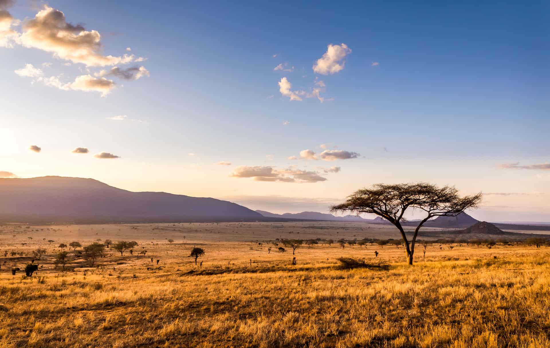 tsavo east