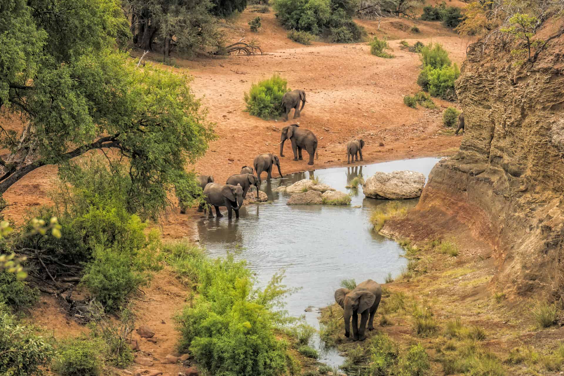 que faire en afrique du sud parc kruger