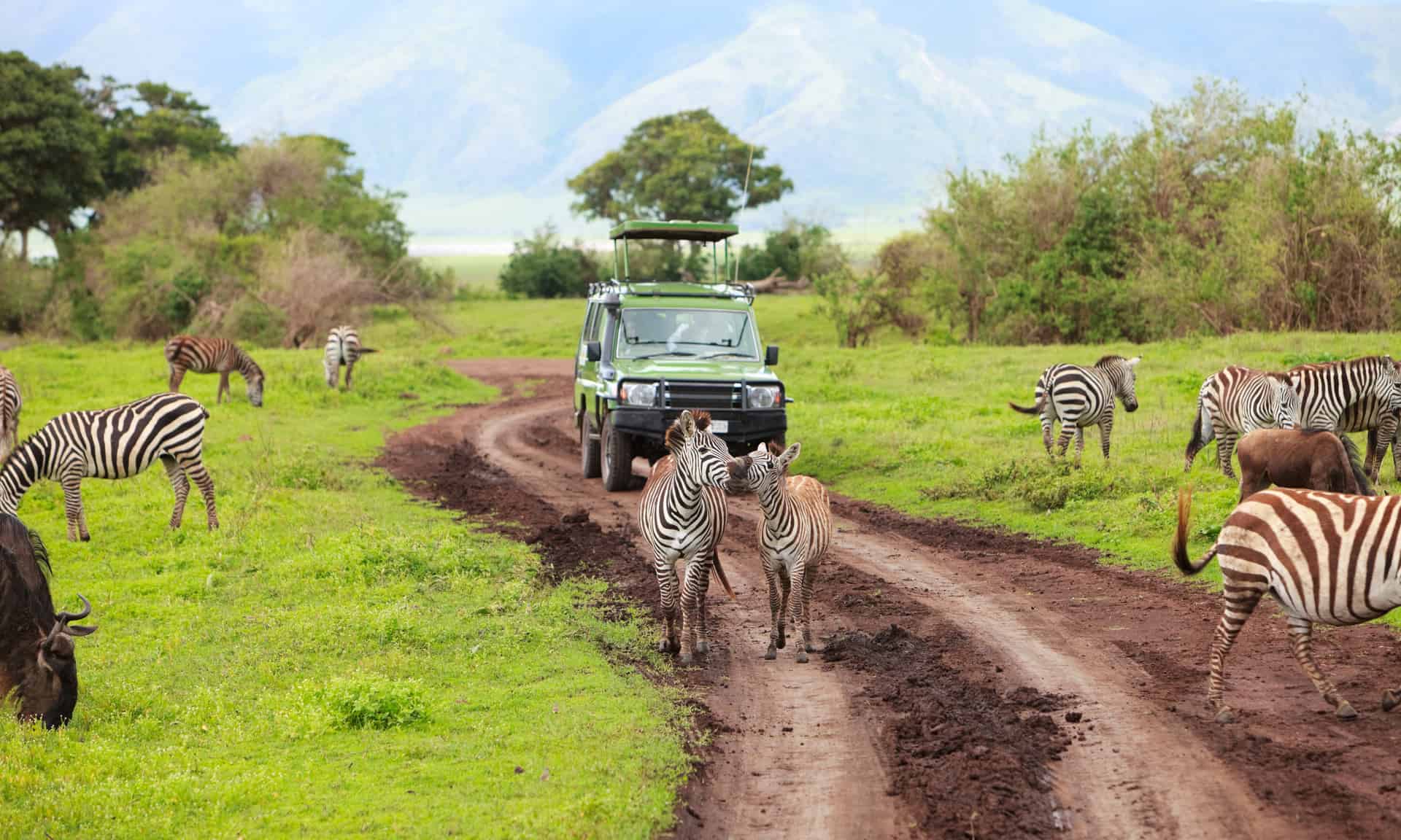 parc national du serengeti