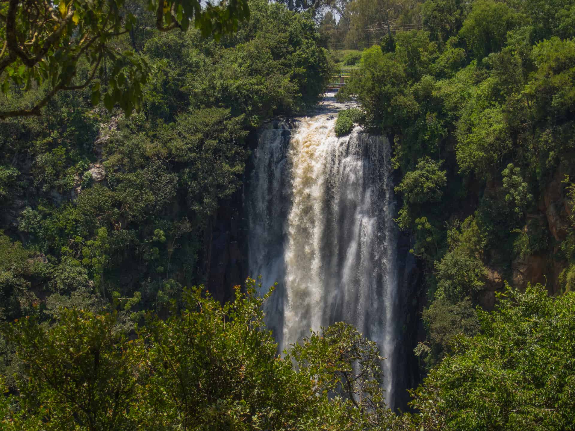 chutes de thomson