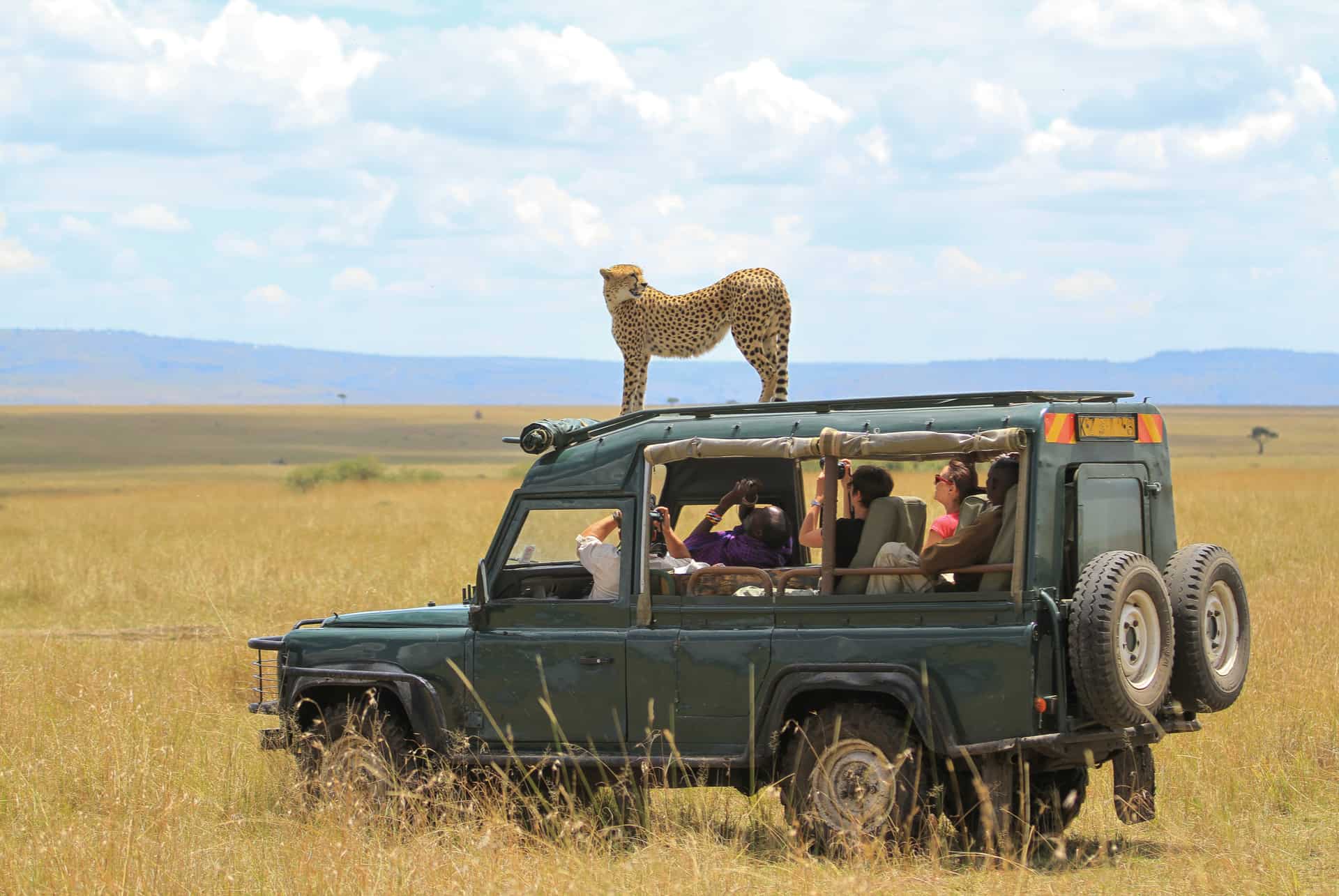 budget minimum safari kenya